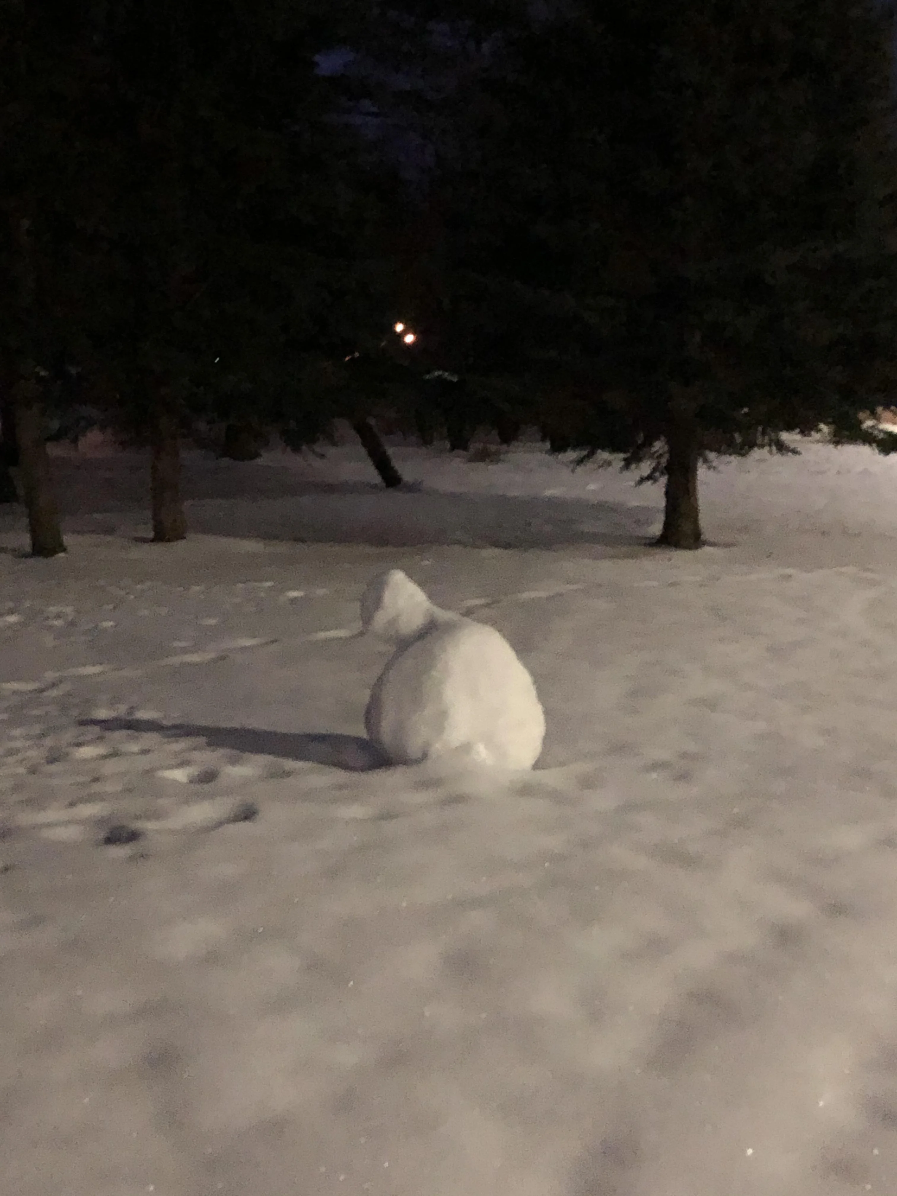 Noah OnlyFans free account photo 34 - normalnoah nudes and sex tapes