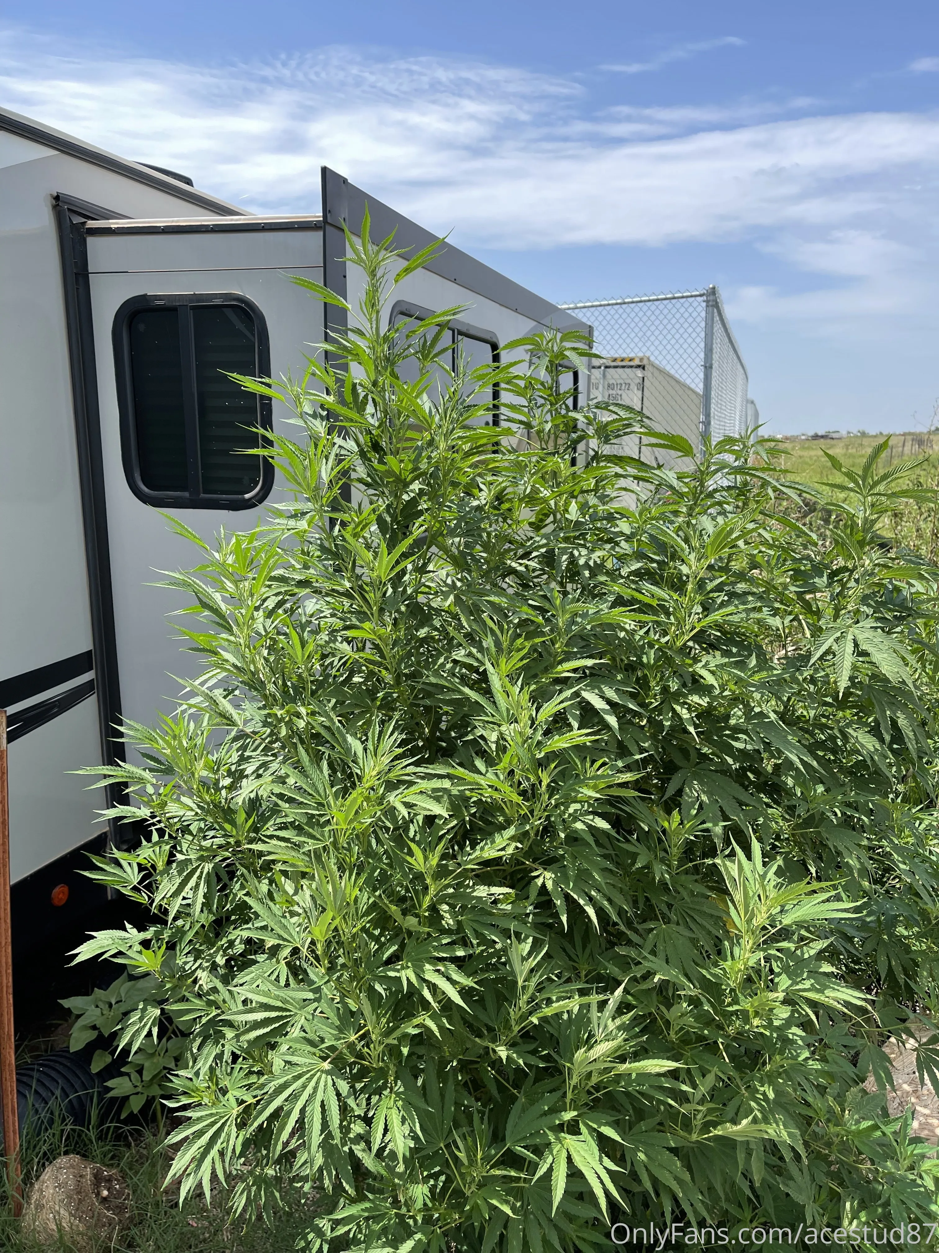 Ace Stud OnlyFans free account photo 12 - acestud87 nudes and sex tapes