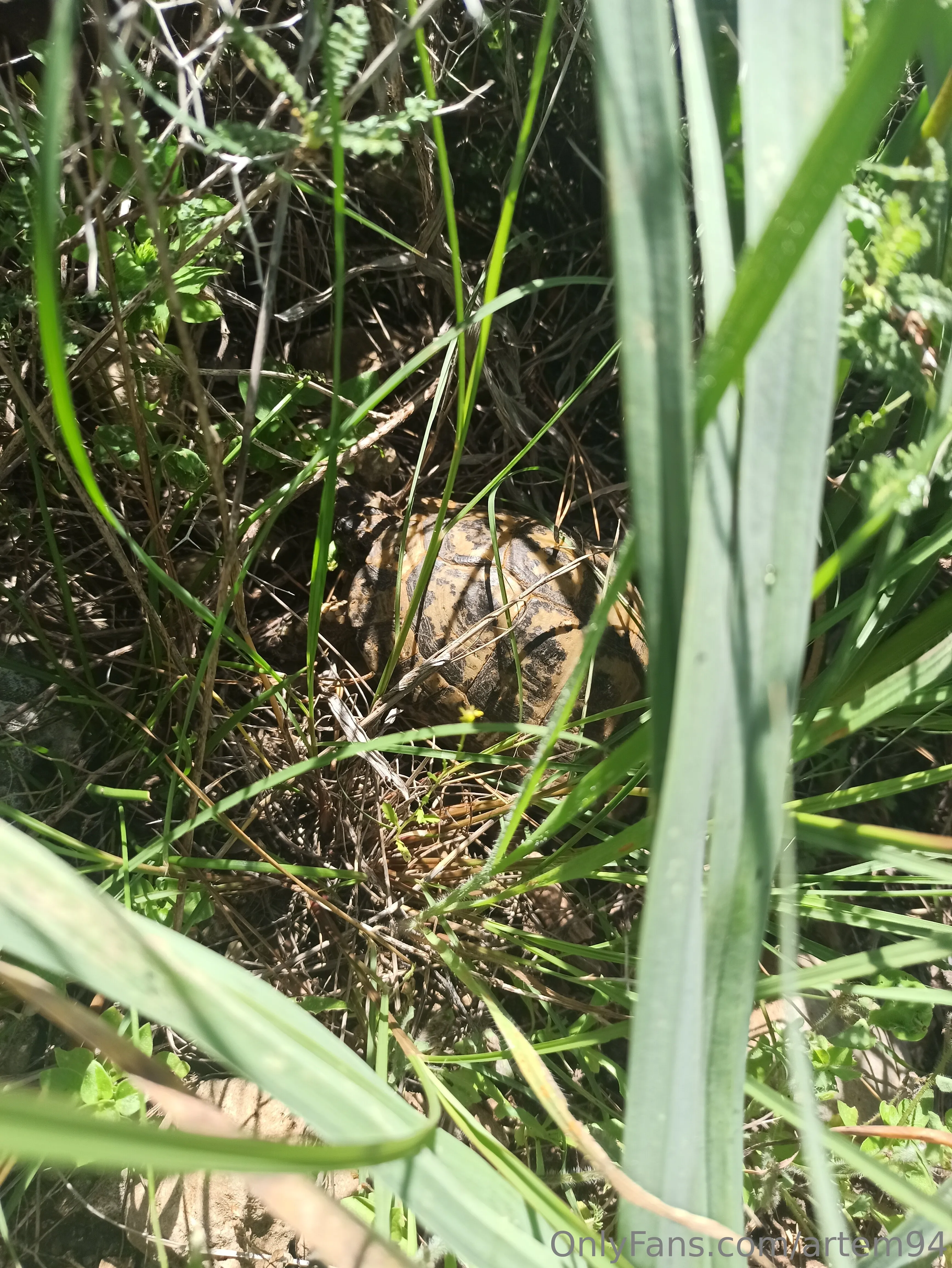 artem94 OnlyFans free account photo 19 - artem94 nudes and sex tapes