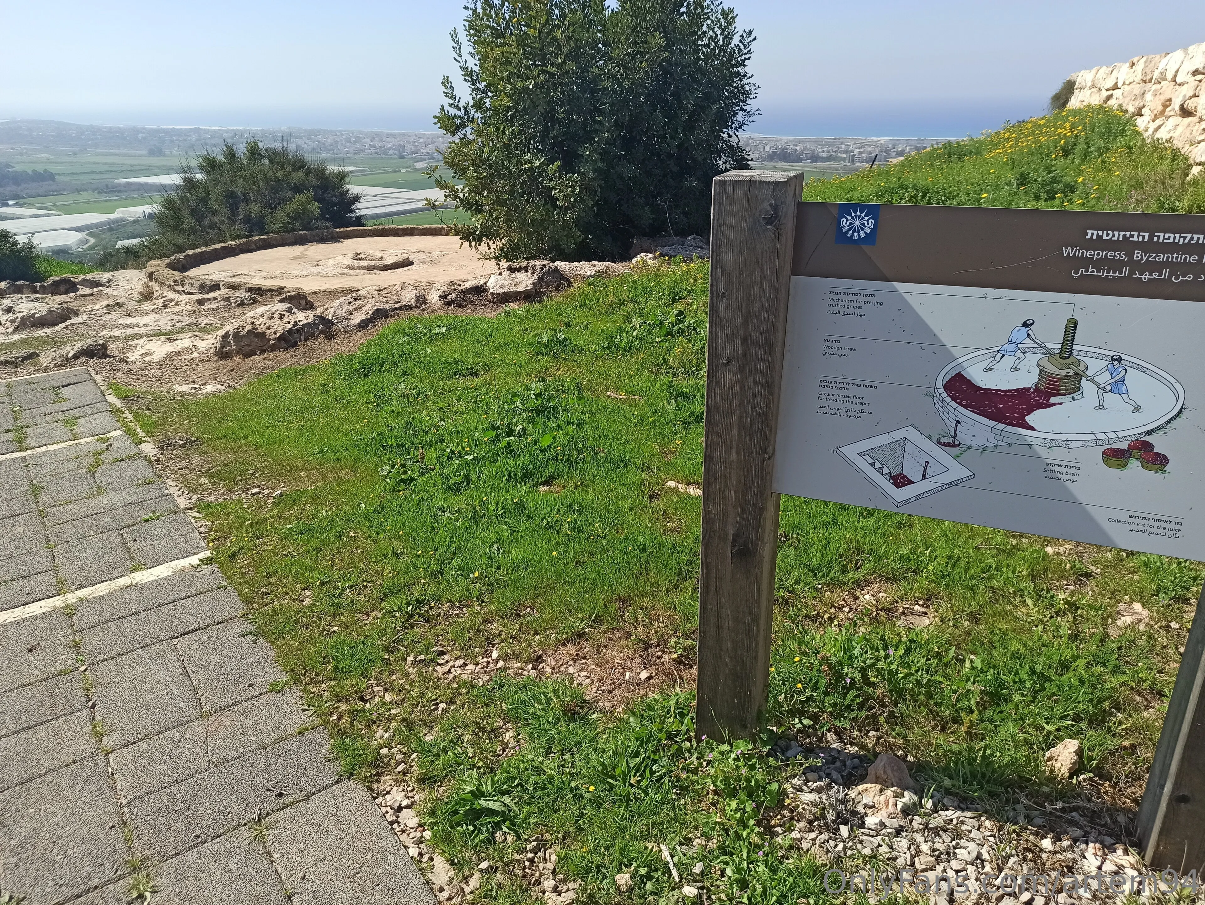 artem94 OnlyFans free account photo 16 - artem94 nudes and sex tapes