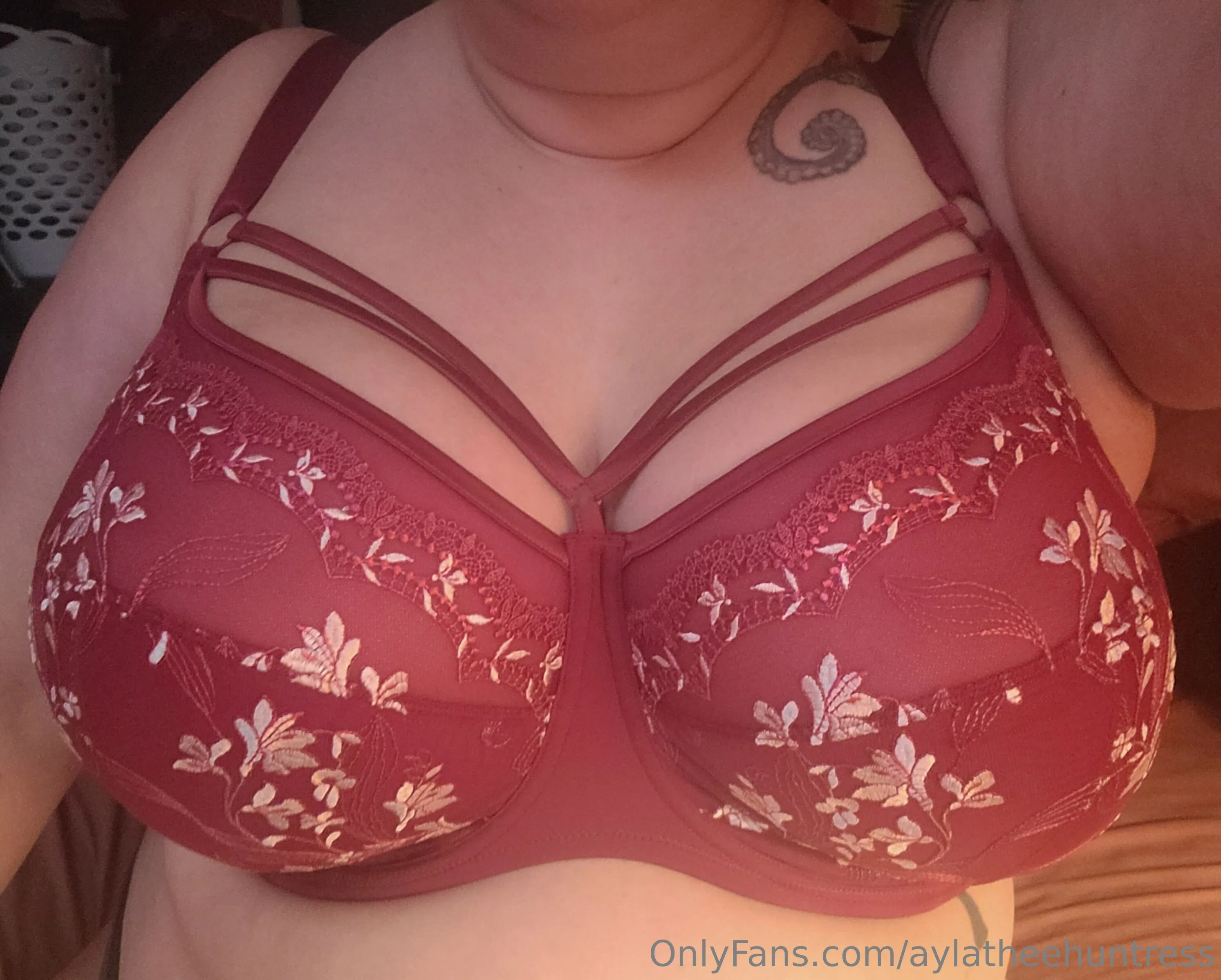 Ayla Rav OnlyFans free account photo 2 - aylatheehuntress nudes and sex tapes