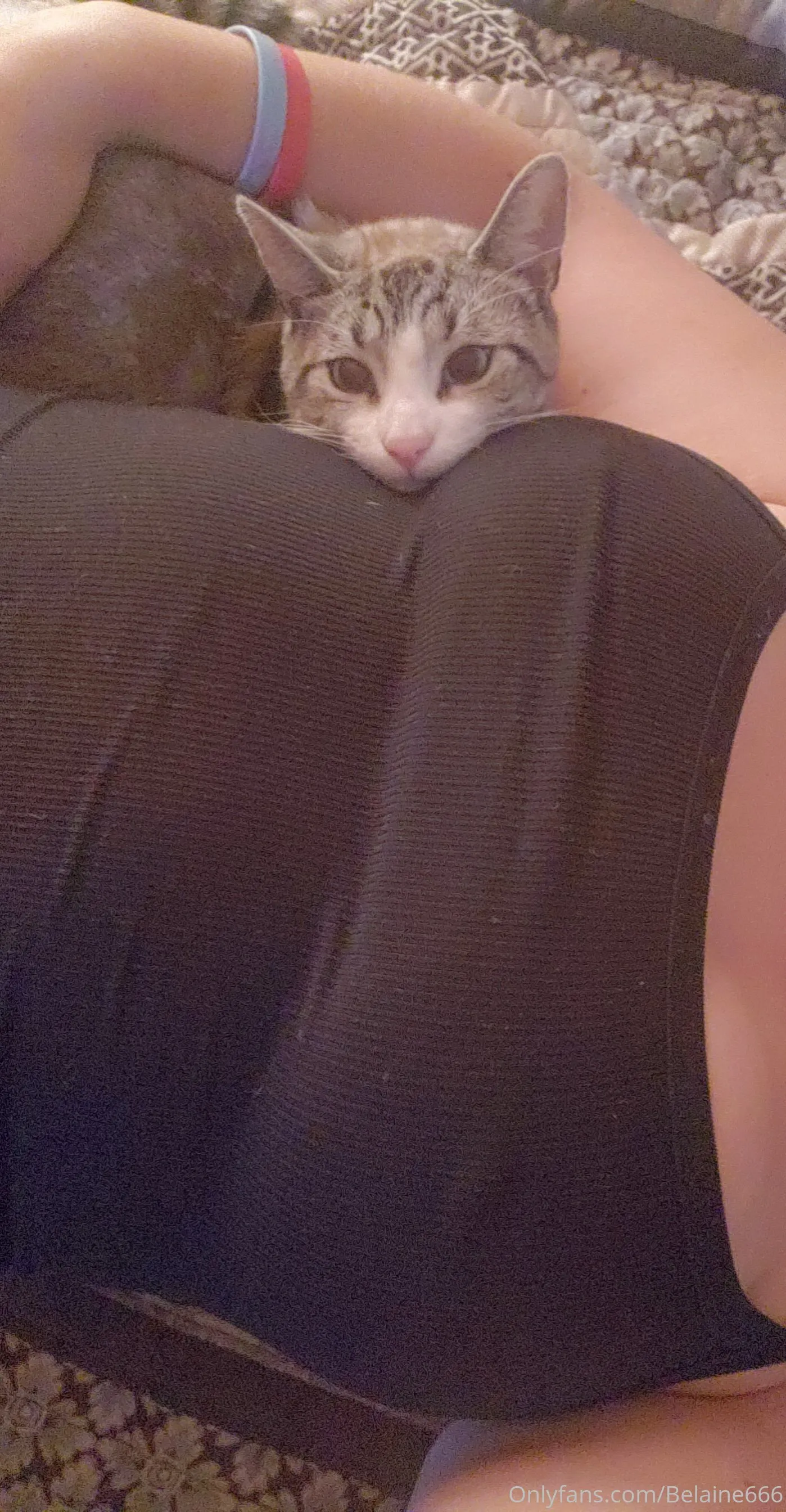 That1BitchBille OnlyFans free account photo 15 - belaine666 nudes and sex tapes