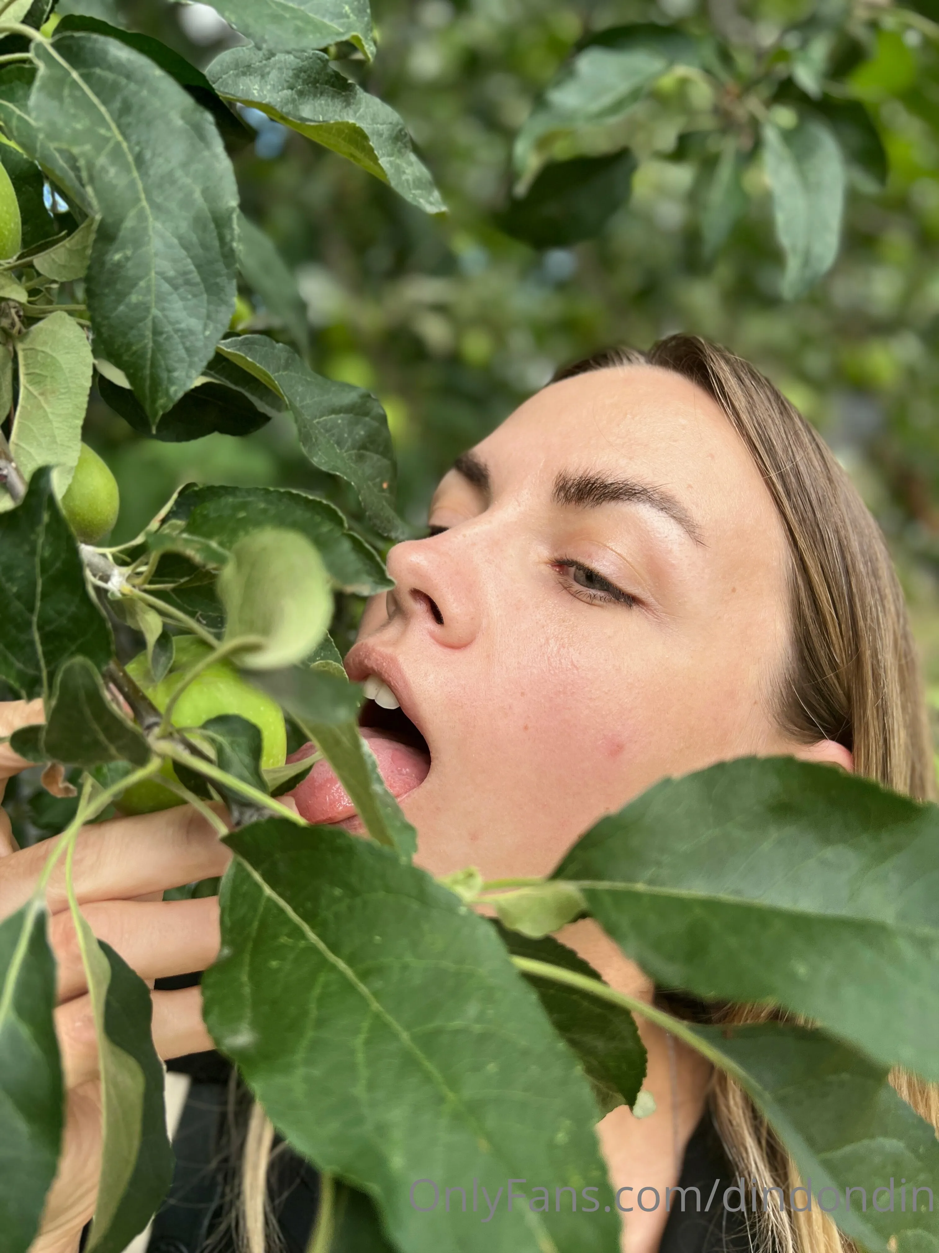 Dindin💋 OnlyFans free account photo 2 - dindondin nudes and sex tapes