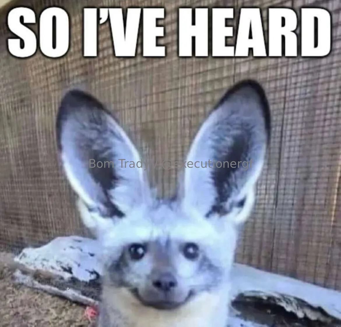 bom trady OnlyFans free account photo 4 - executionergf nudes and sex tapes