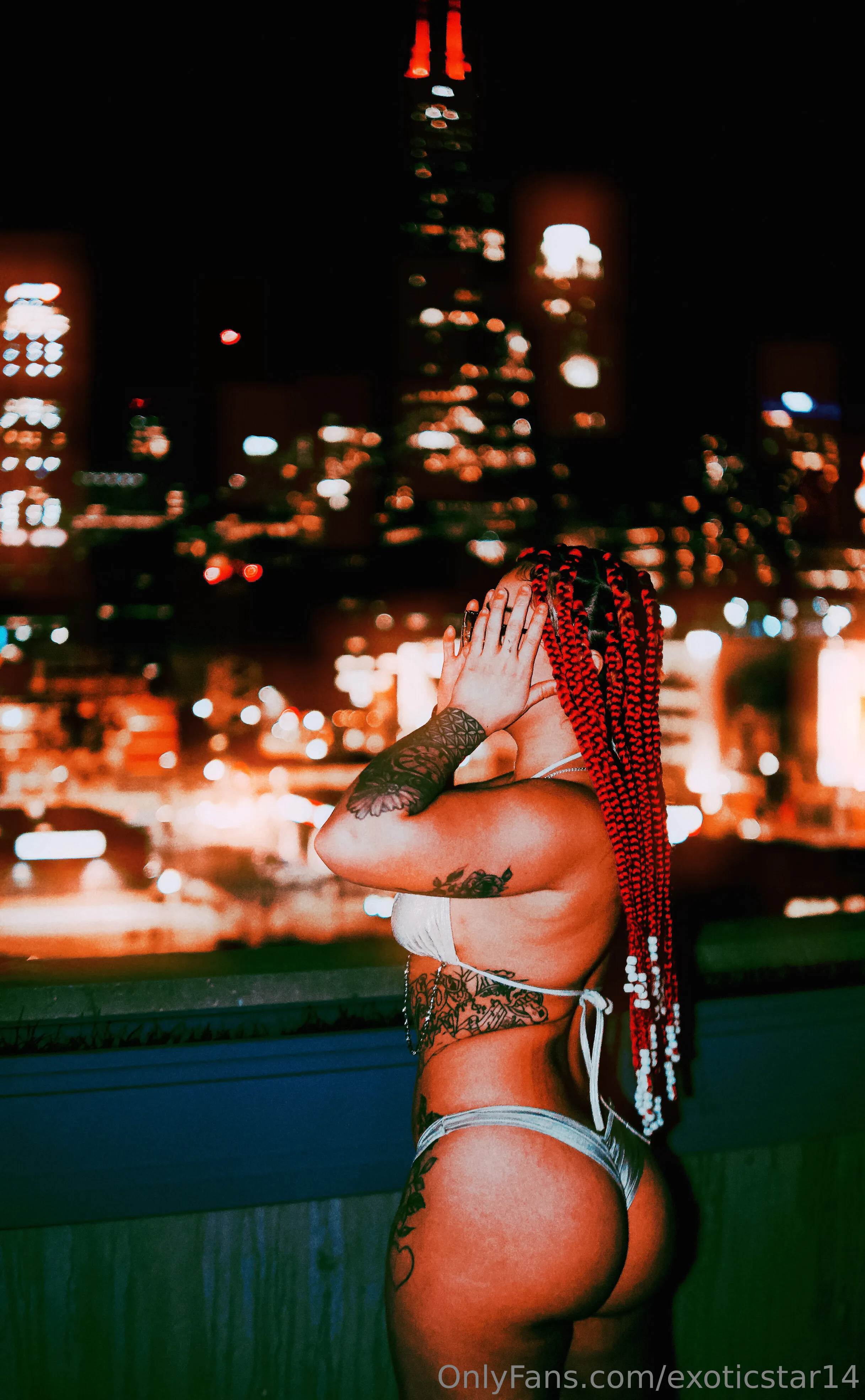 Exotic OnlyFans free account photo 10 - exoticstar14 nudes and sex tapes