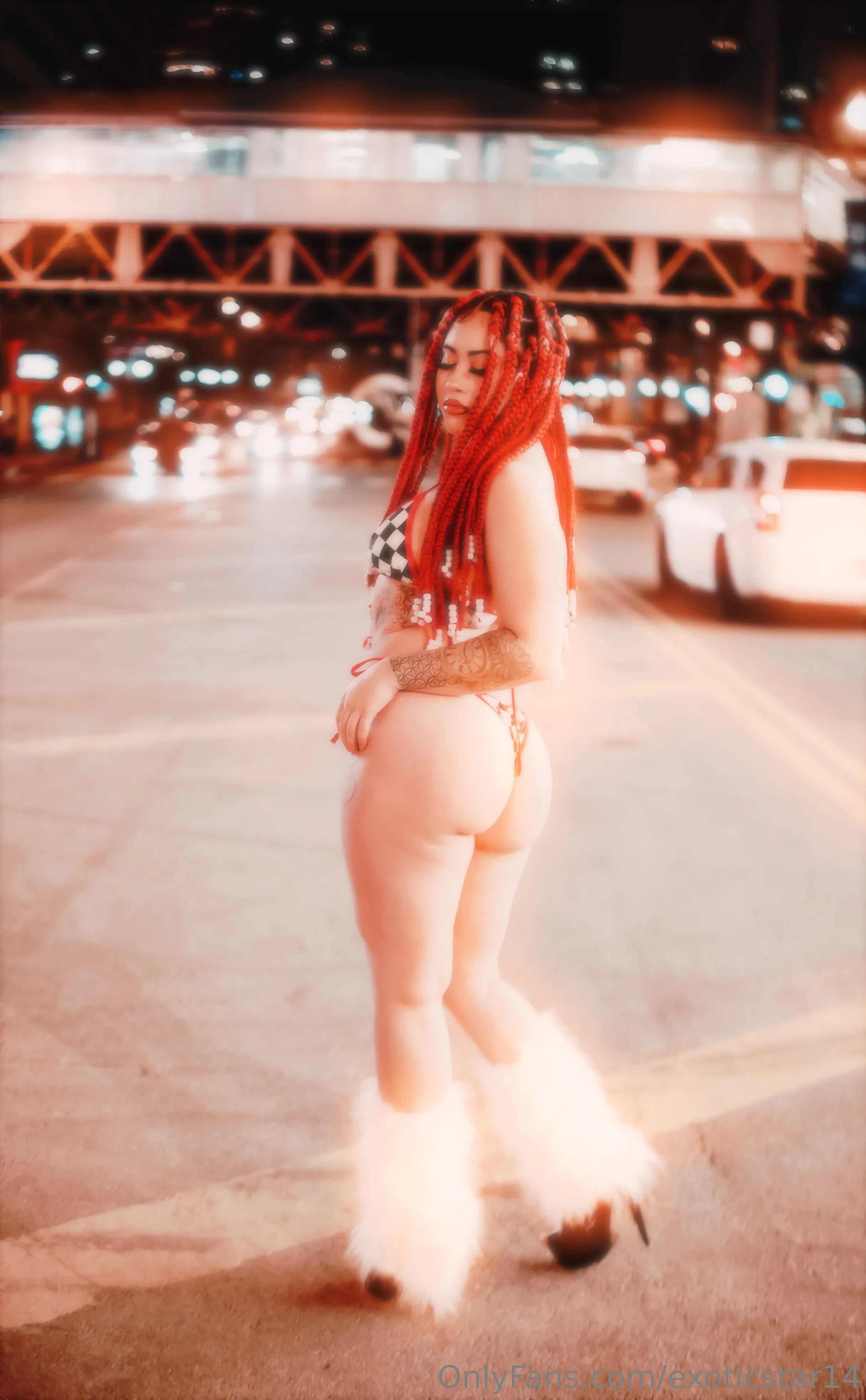 Exotic OnlyFans free account photo 8 - exoticstar14 nudes and sex tapes