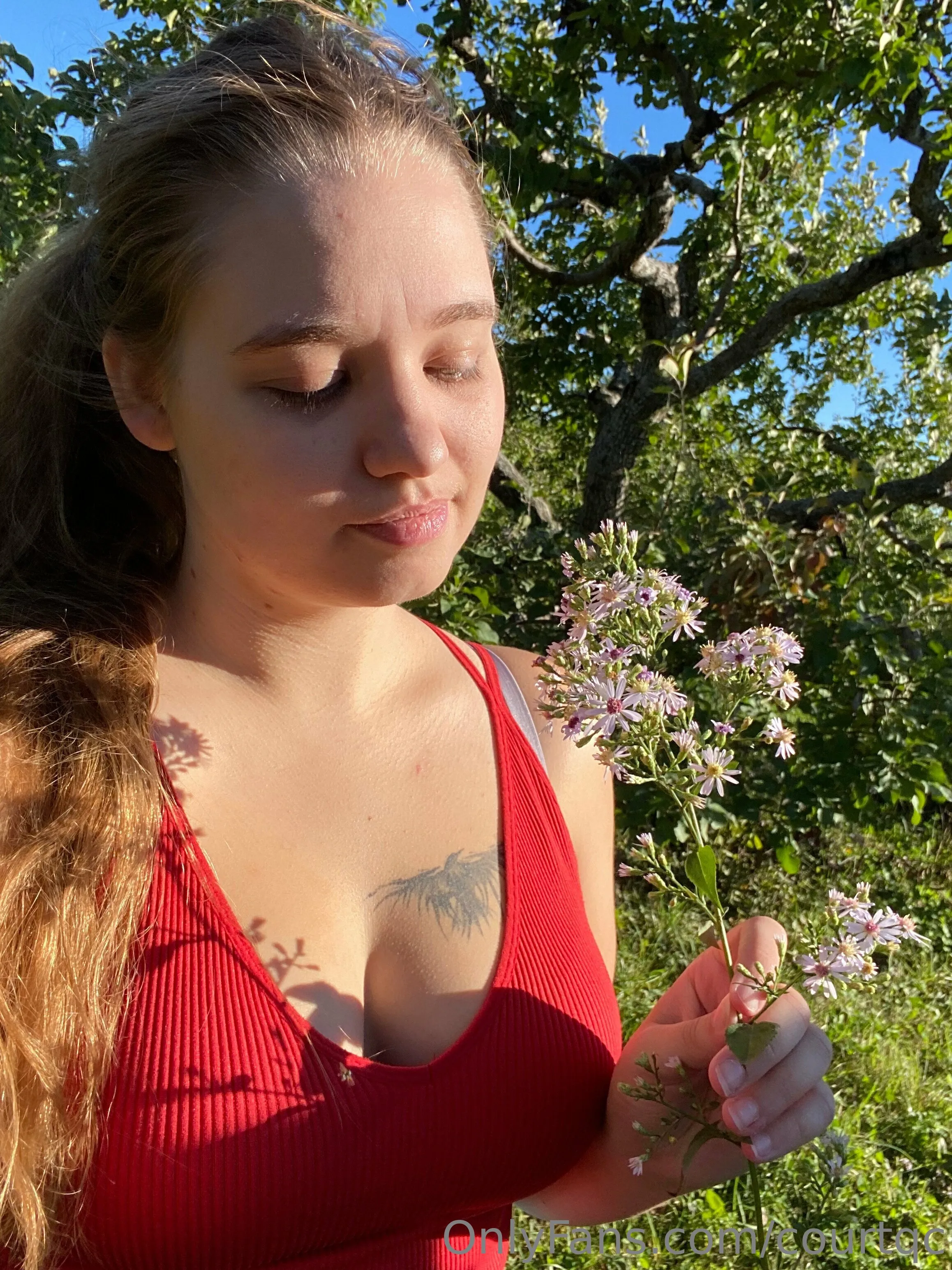 Court OnlyFans free account photo 15 - fraiseqc nudes and sex tapes