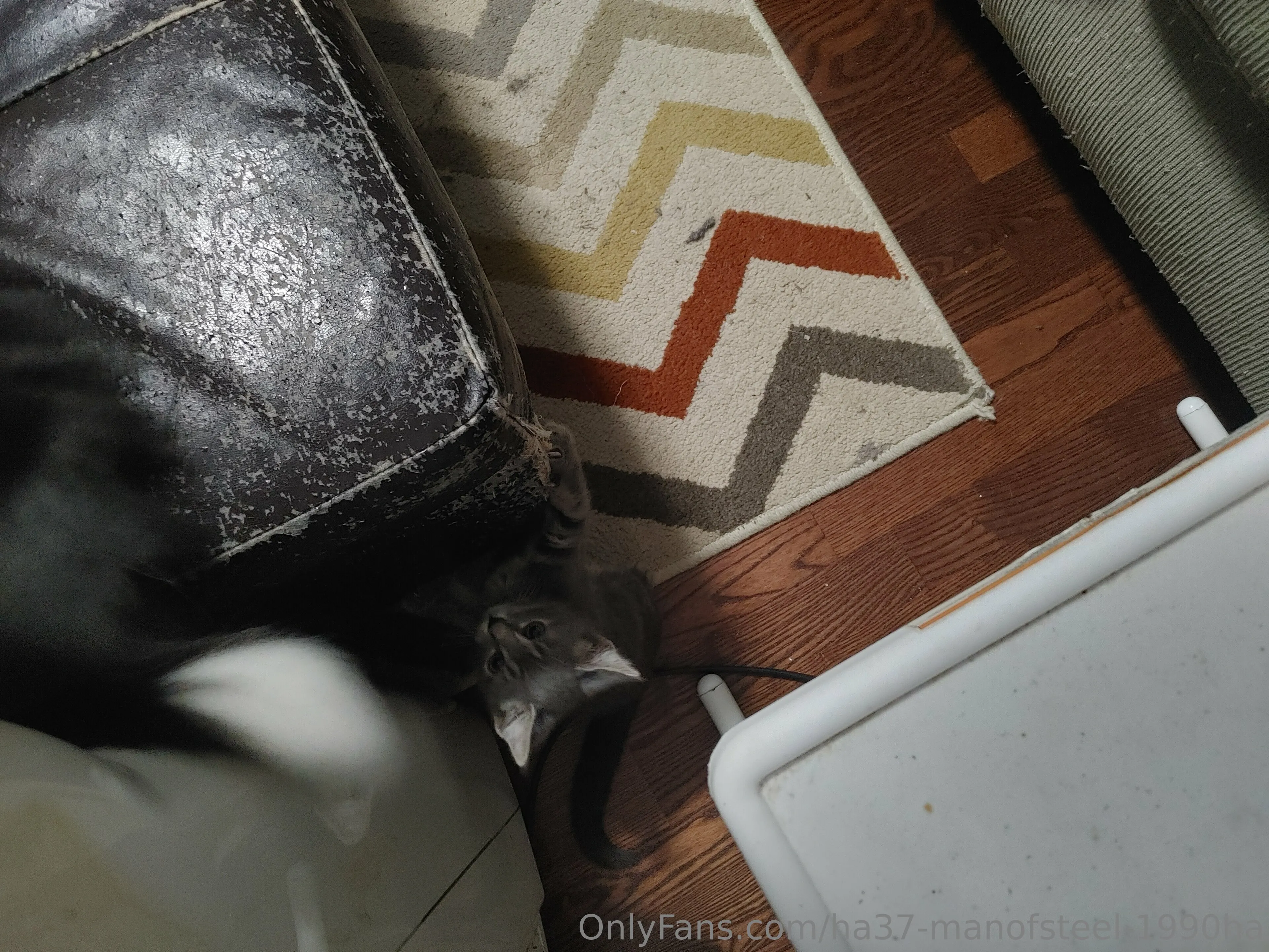 Man of steel OnlyFans free account photo 5 - ha37-manofsteel-1990ha nudes and sex tapes