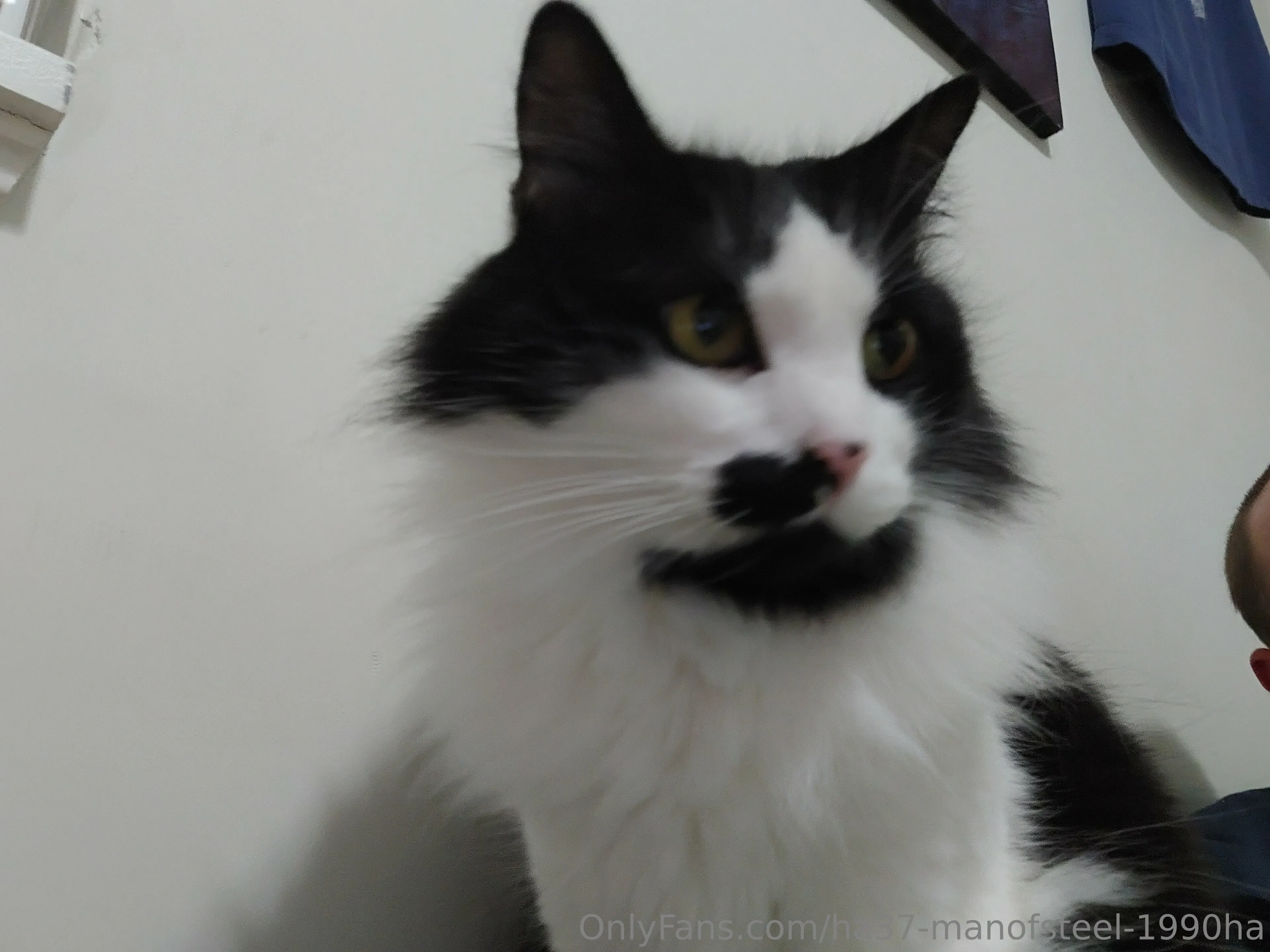 Man of steel OnlyFans free account photo 3 - ha37-manofsteel-1990ha nudes and sex tapes