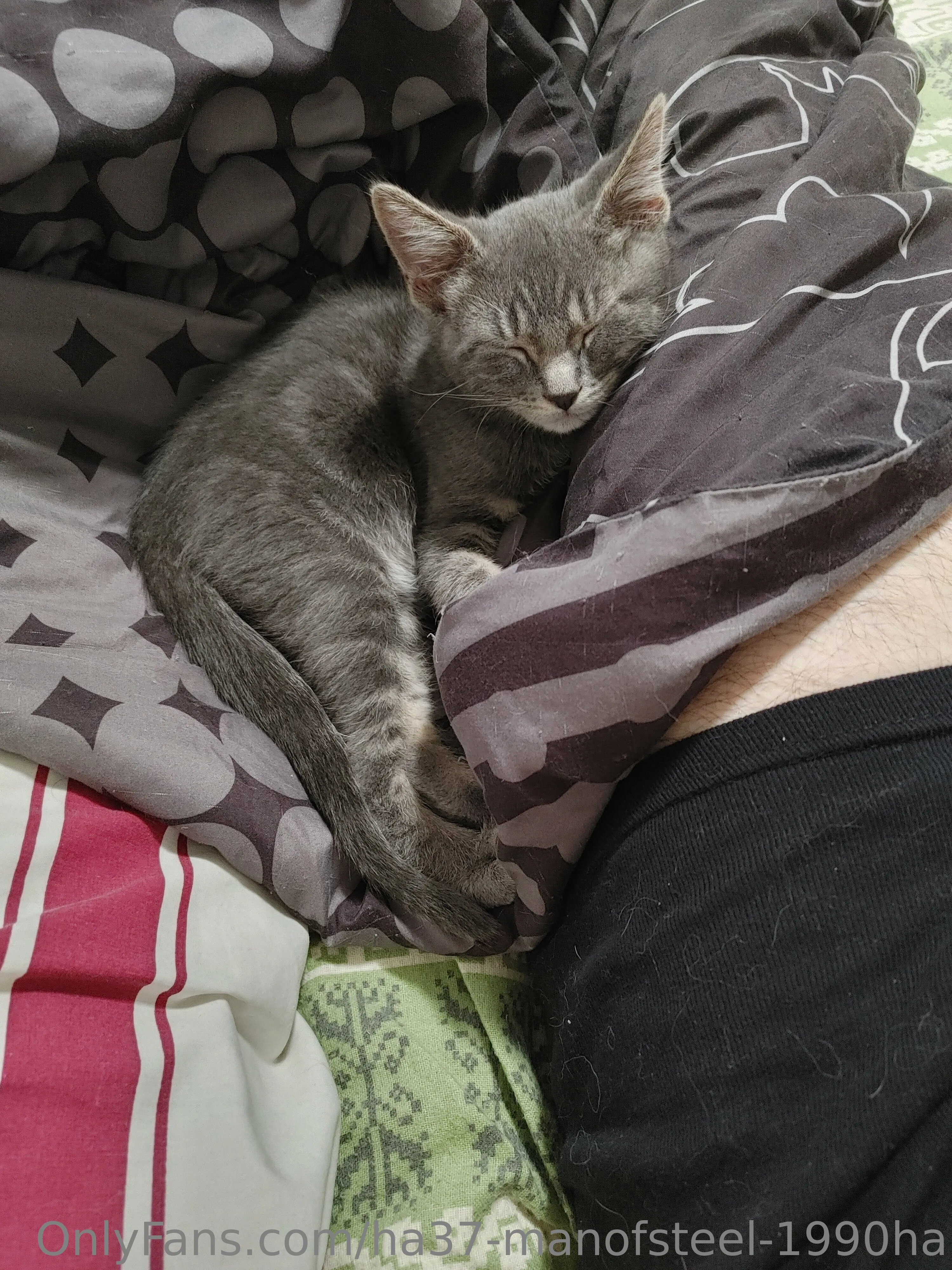 Man of steel OnlyFans free account photo 2 - ha37-manofsteel-1990ha nudes and sex tapes