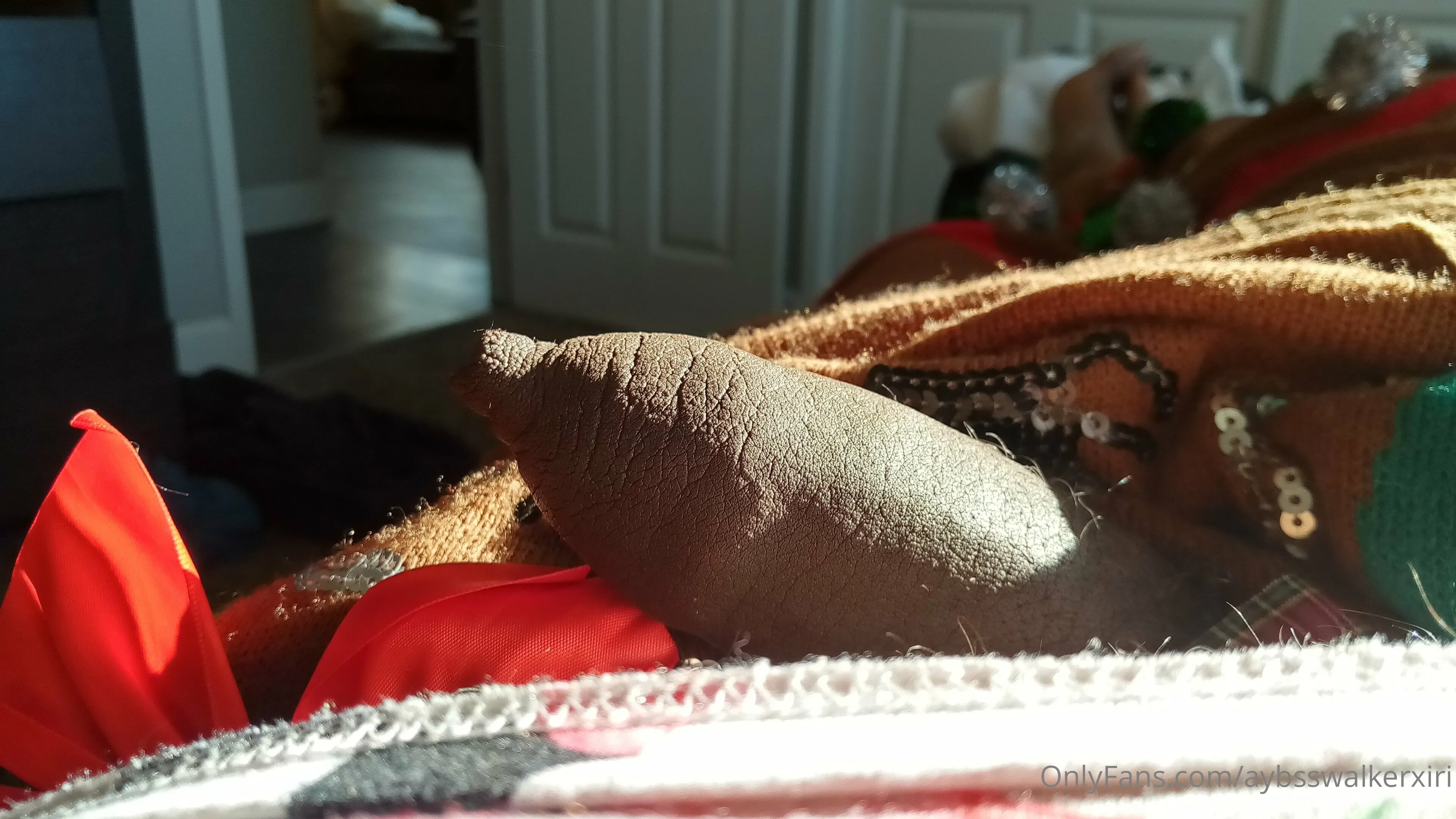 Soul Shepard OnlyFans free account photo 9 - aybsswalkerxiri nudes and sex tapes