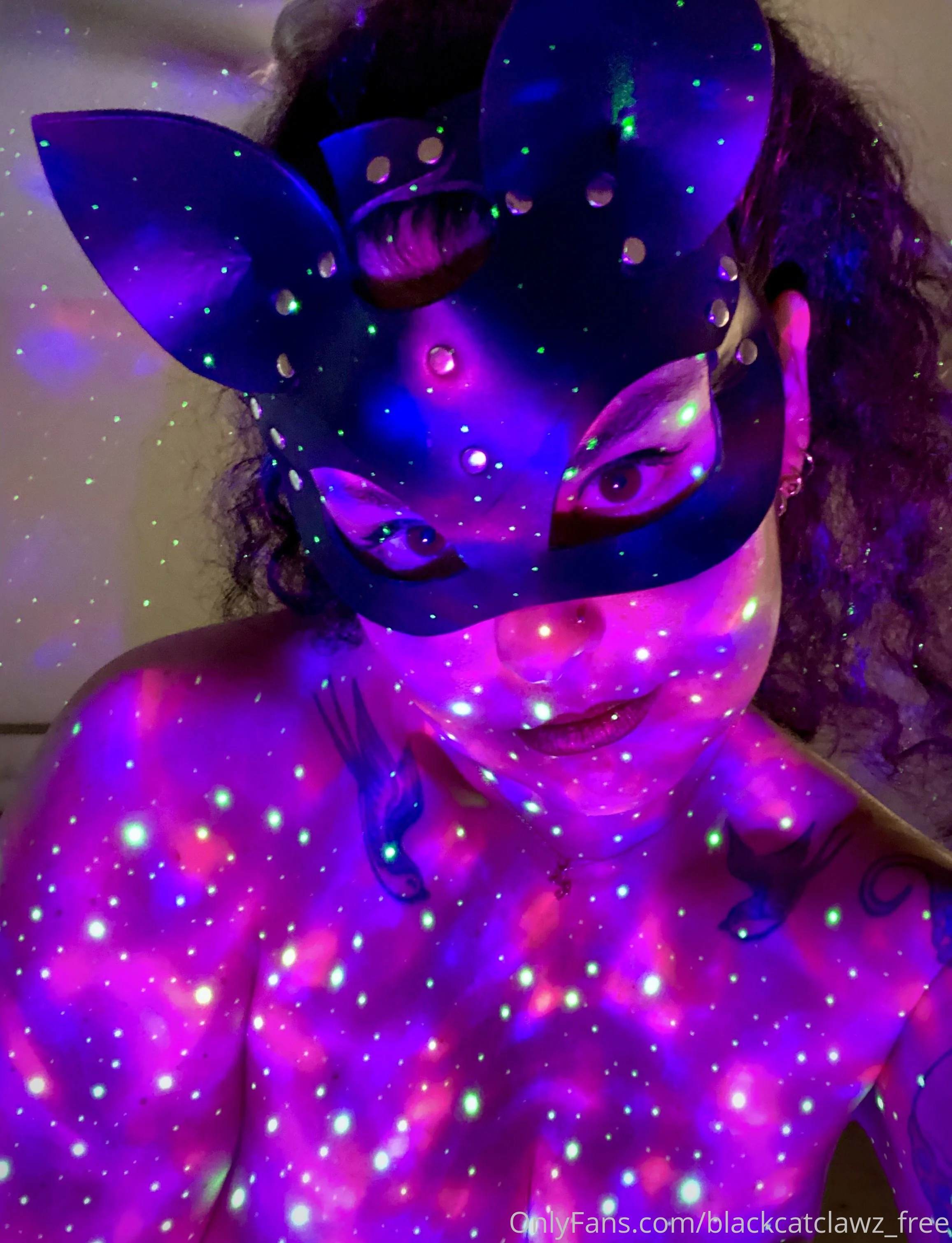 Mistress Kitty (Free) OnlyFans free account photo 14 - blackcatclawz_free nudes and sex tapes