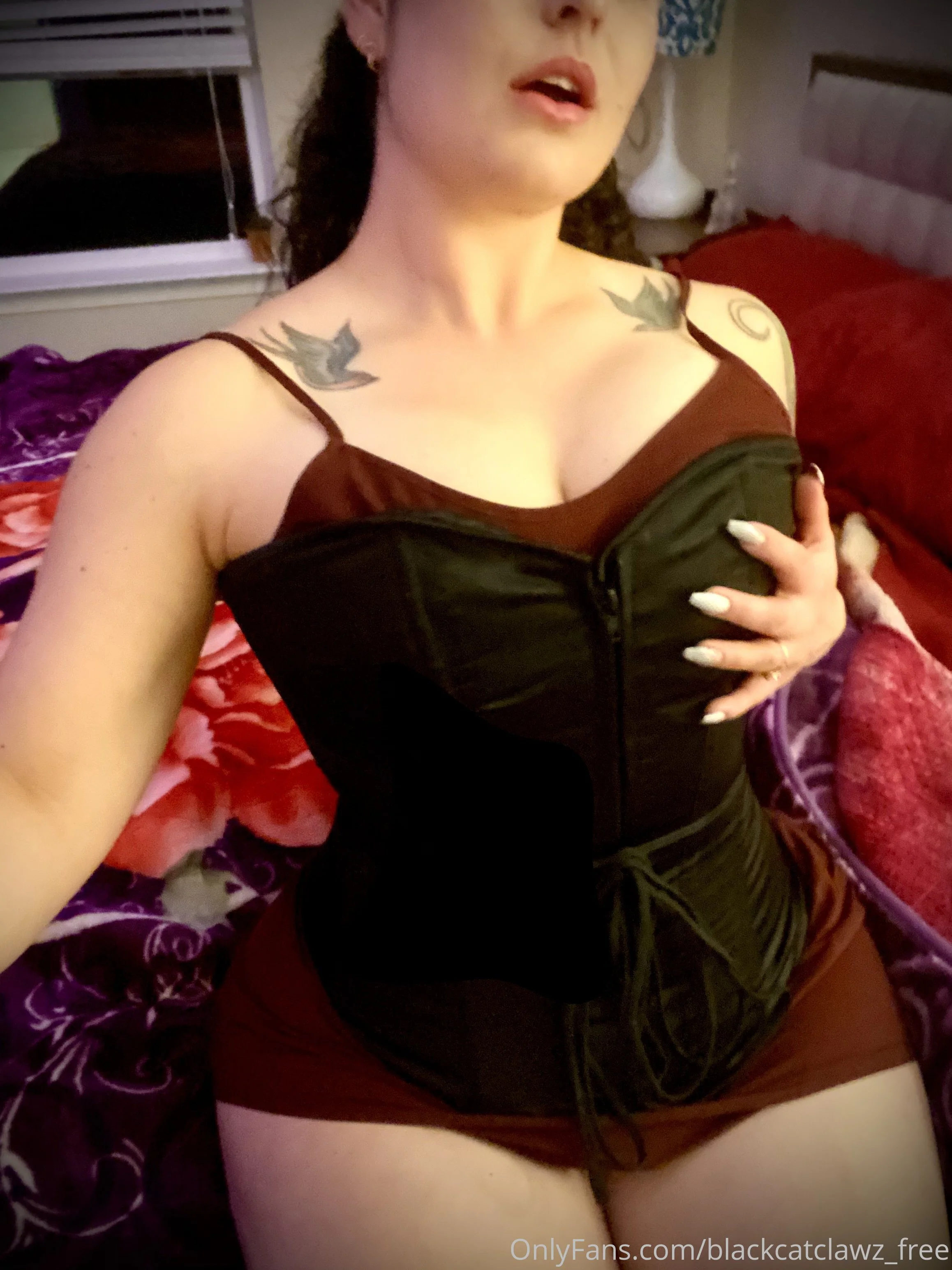 Mistress Kitty (Free) OnlyFans free account photo 4 - blackcatclawz_free nudes and sex tapes