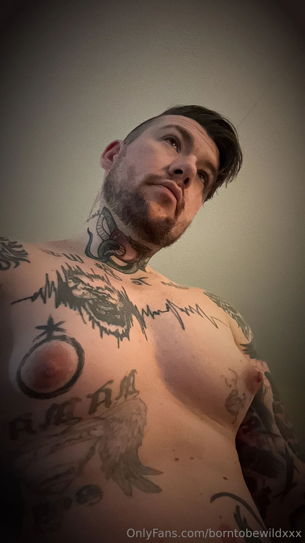 August Borne OnlyFans free account photo 30 - borntobewildxxx nudes and sex tapes