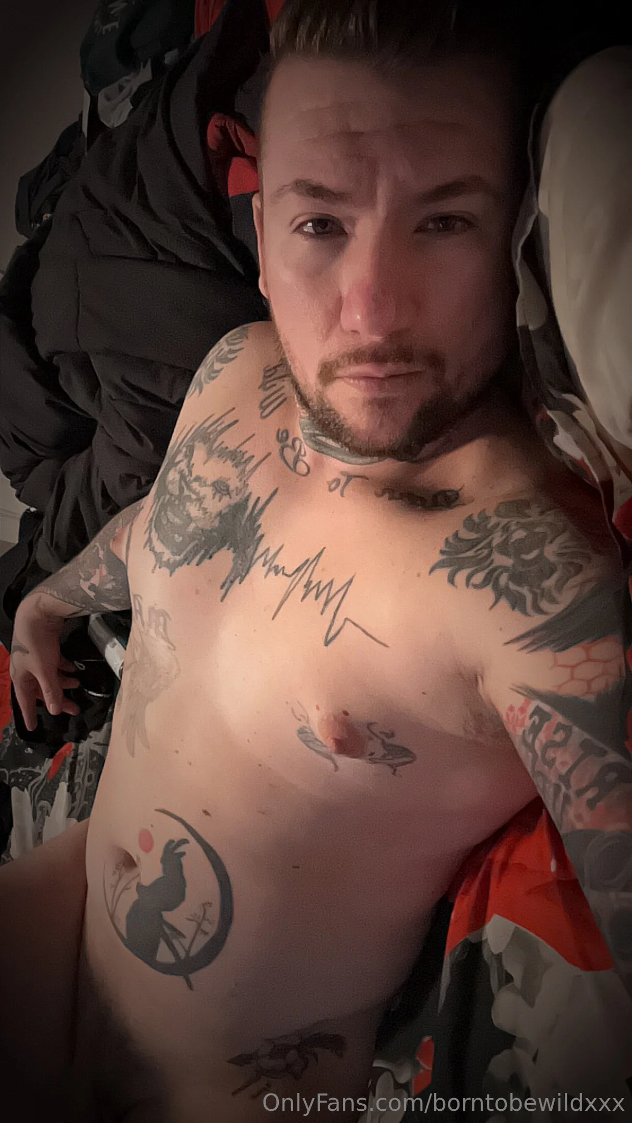 August Borne OnlyFans free account photo 17 - borntobewildxxx nudes and sex tapes