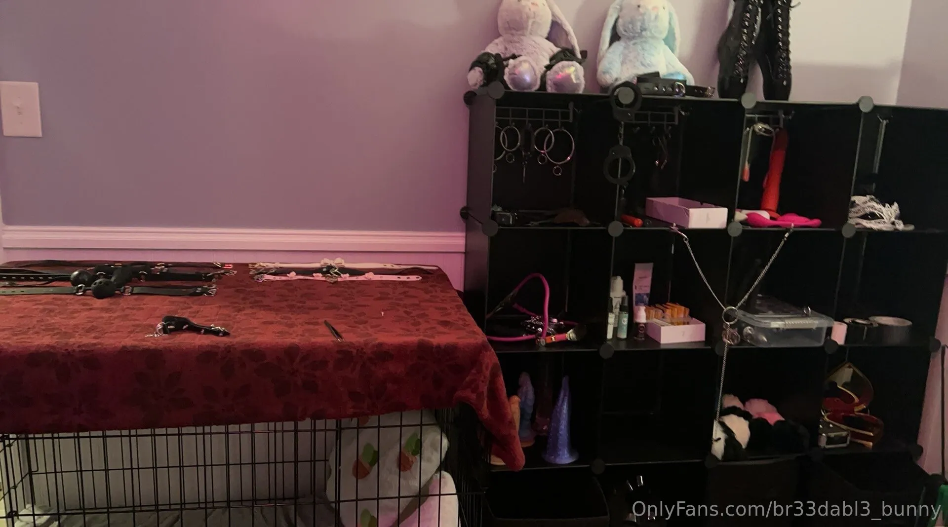 Breedable Bunny OnlyFans free account photo 1 - br33dabl3_bunny nudes and sex tapes