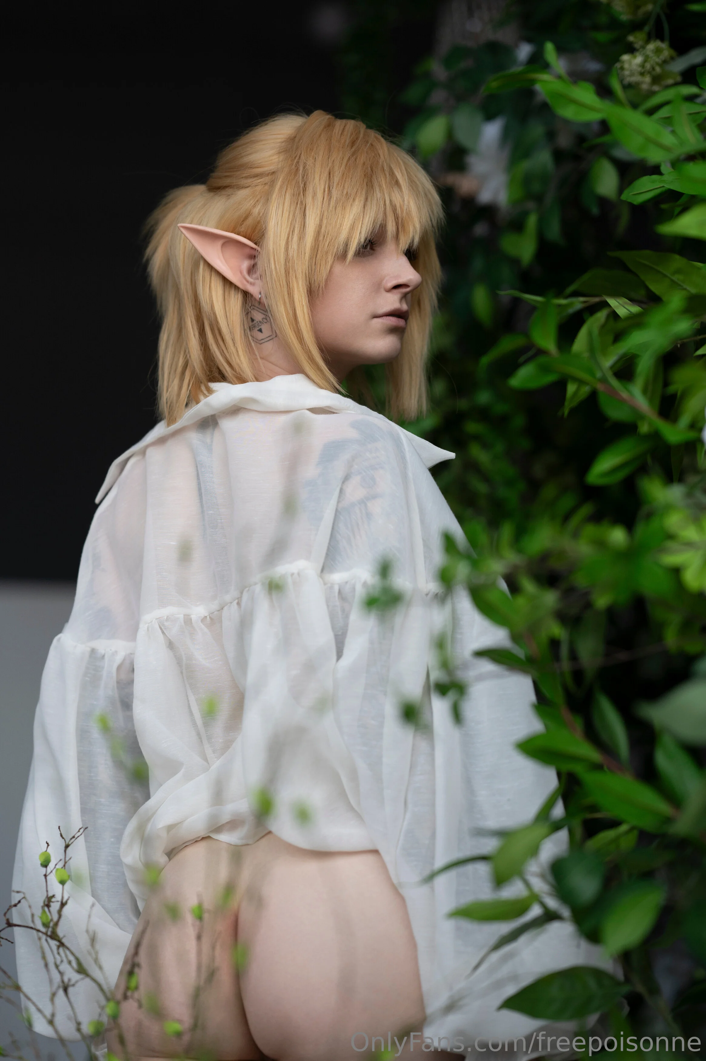 Gray Poisonne OnlyFans free account photo 25 - freepoisonne nudes and sex tapes