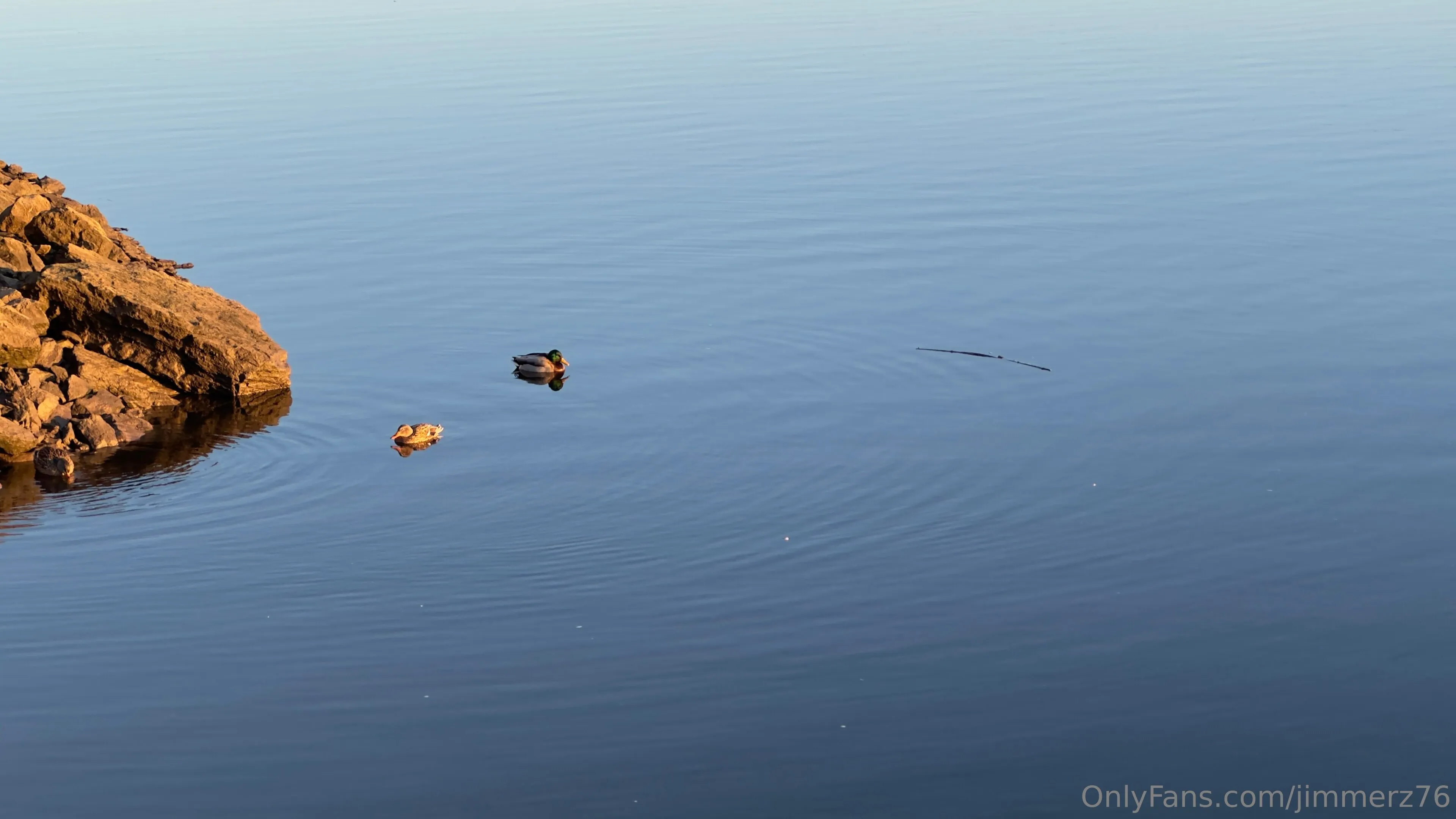 Jimmerz76 OnlyFans free account photo 25 - jimmerz76 nudes and sex tapes