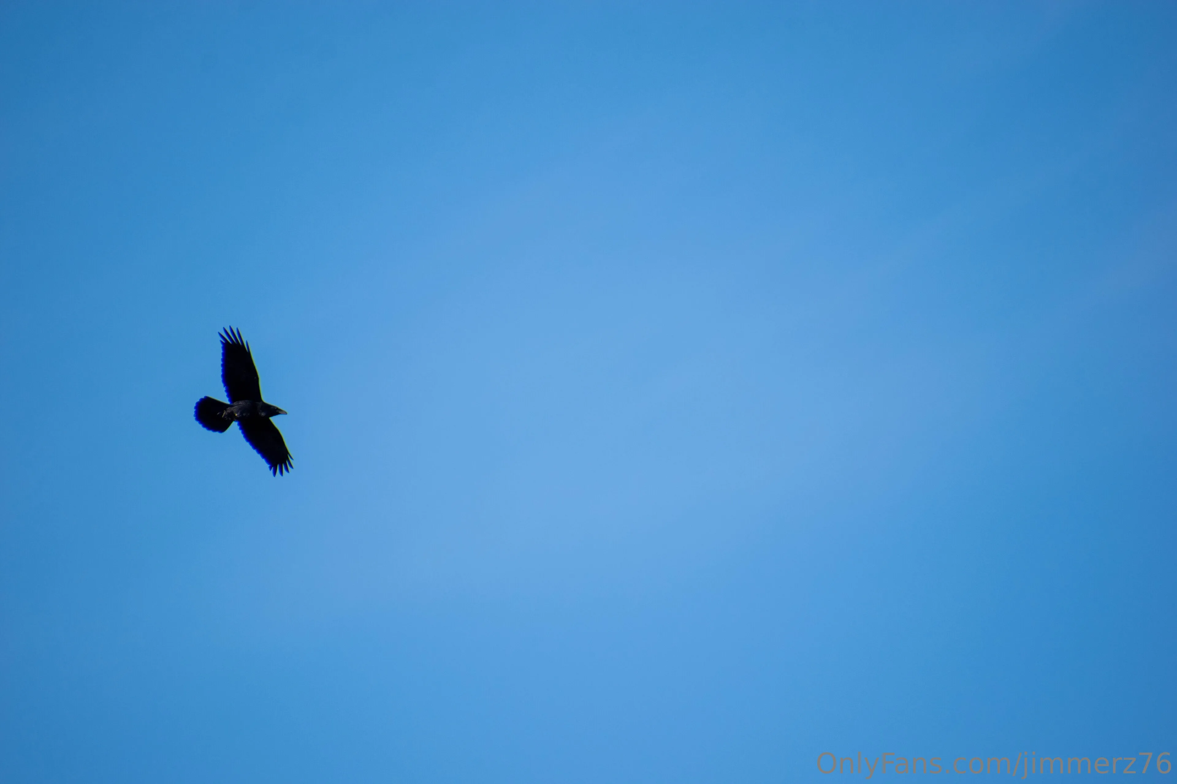 Jimmerz76 OnlyFans free account photo 11 - jimmerz76 nudes and sex tapes