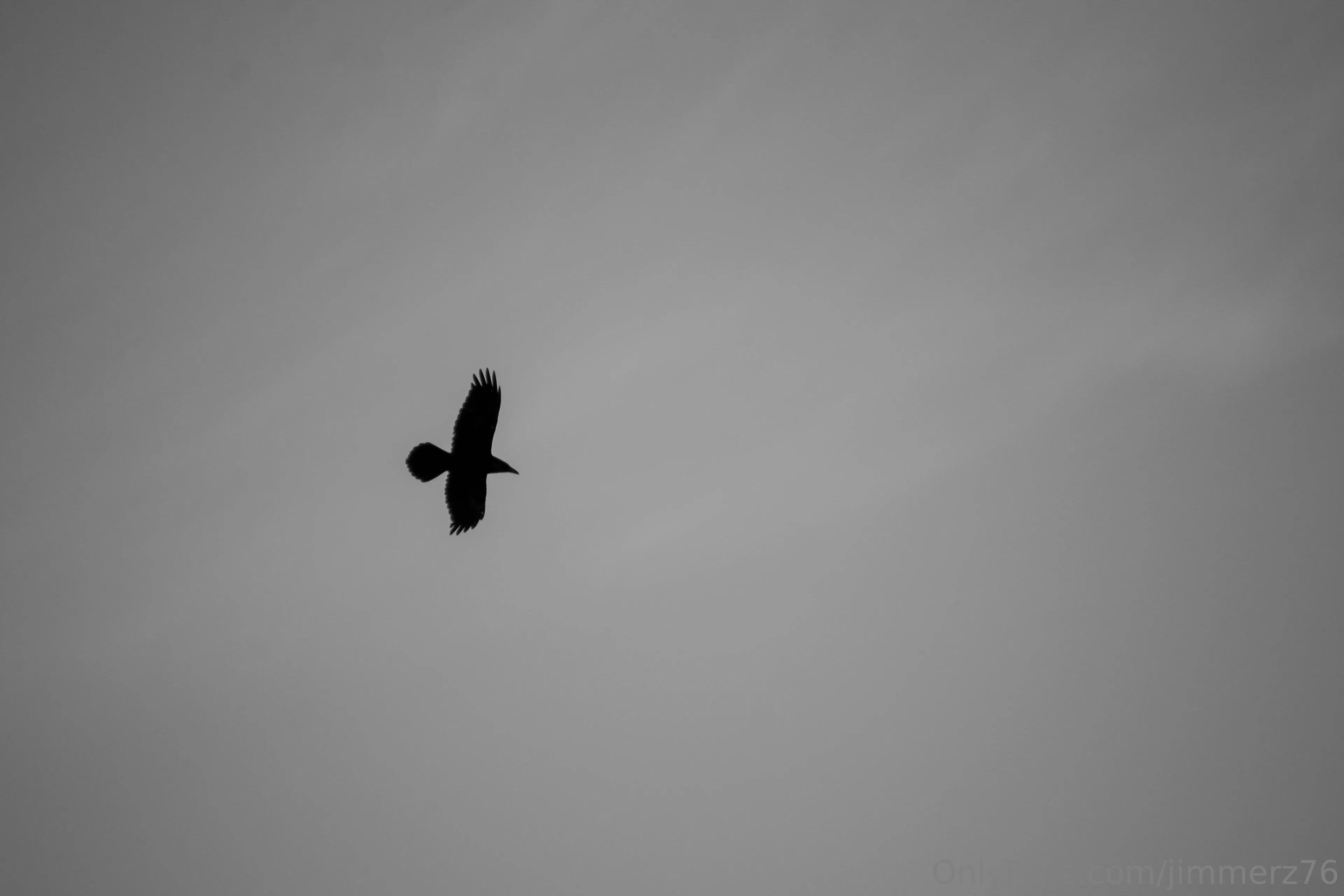 Jimmerz76 OnlyFans free account photo 10 - jimmerz76 nudes and sex tapes