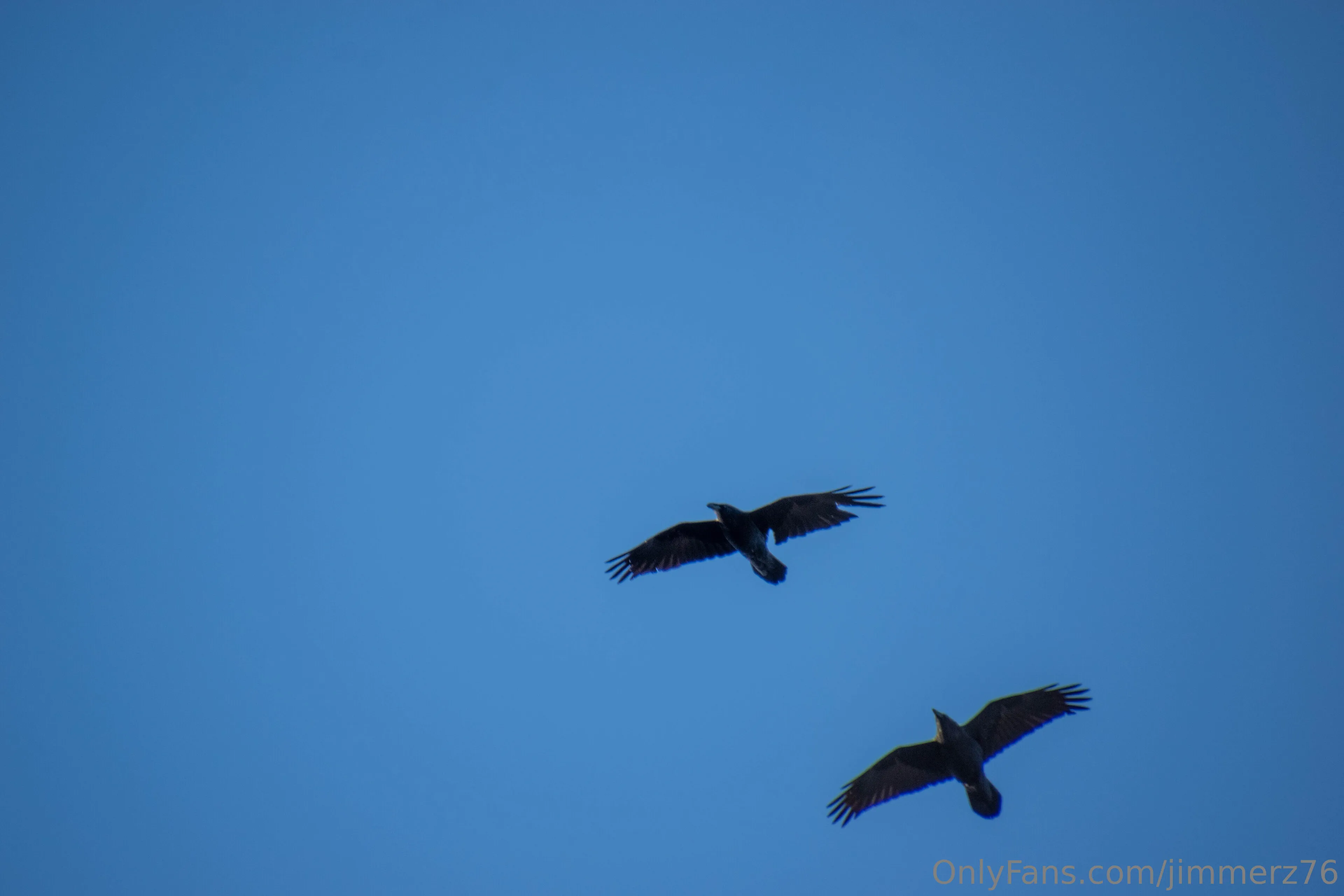 Jimmerz76 OnlyFans free account photo 9 - jimmerz76 nudes and sex tapes