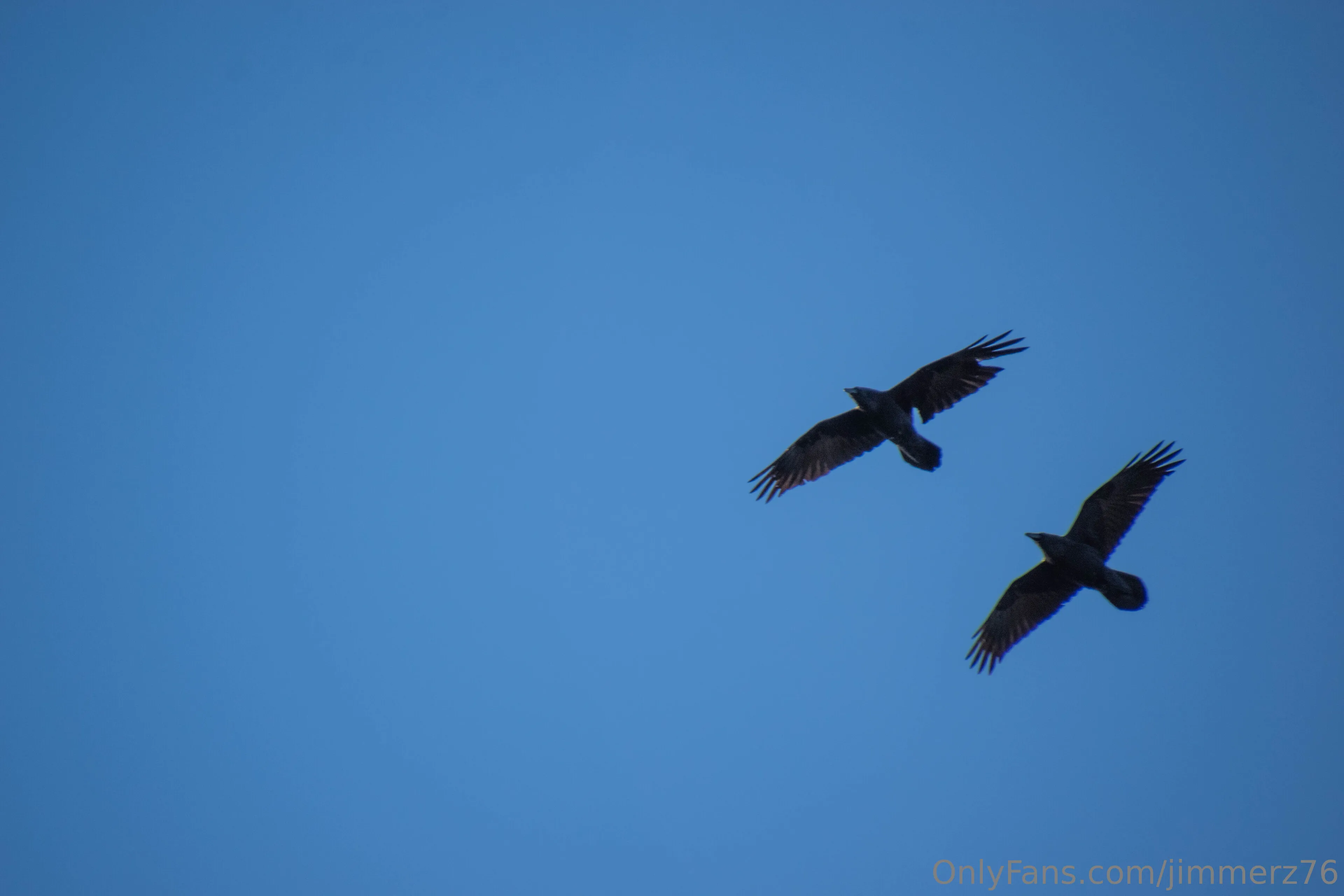 Jimmerz76 OnlyFans free account photo 8 - jimmerz76 nudes and sex tapes