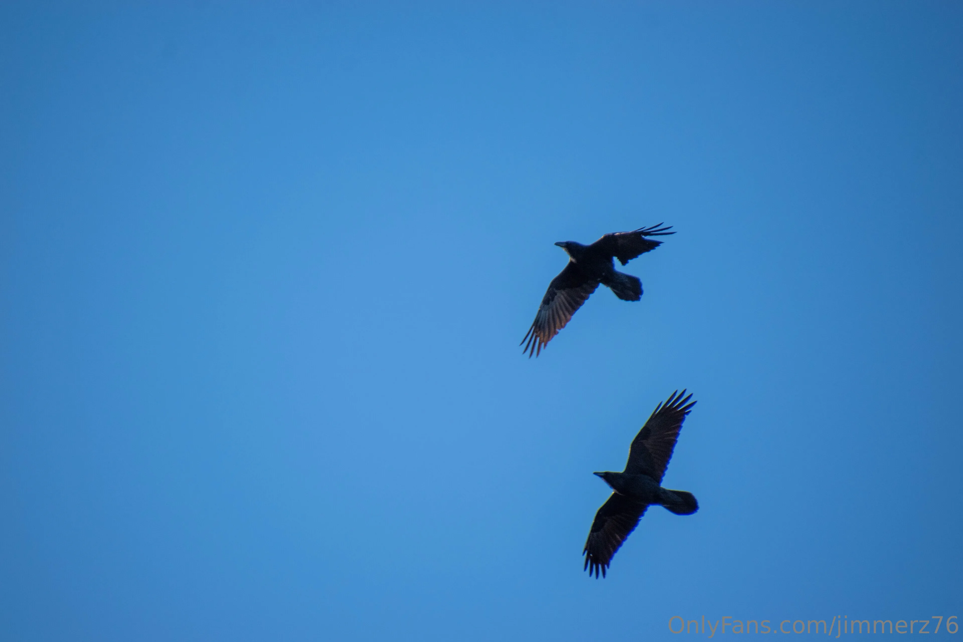 Jimmerz76 OnlyFans free account photo 7 - jimmerz76 nudes and sex tapes