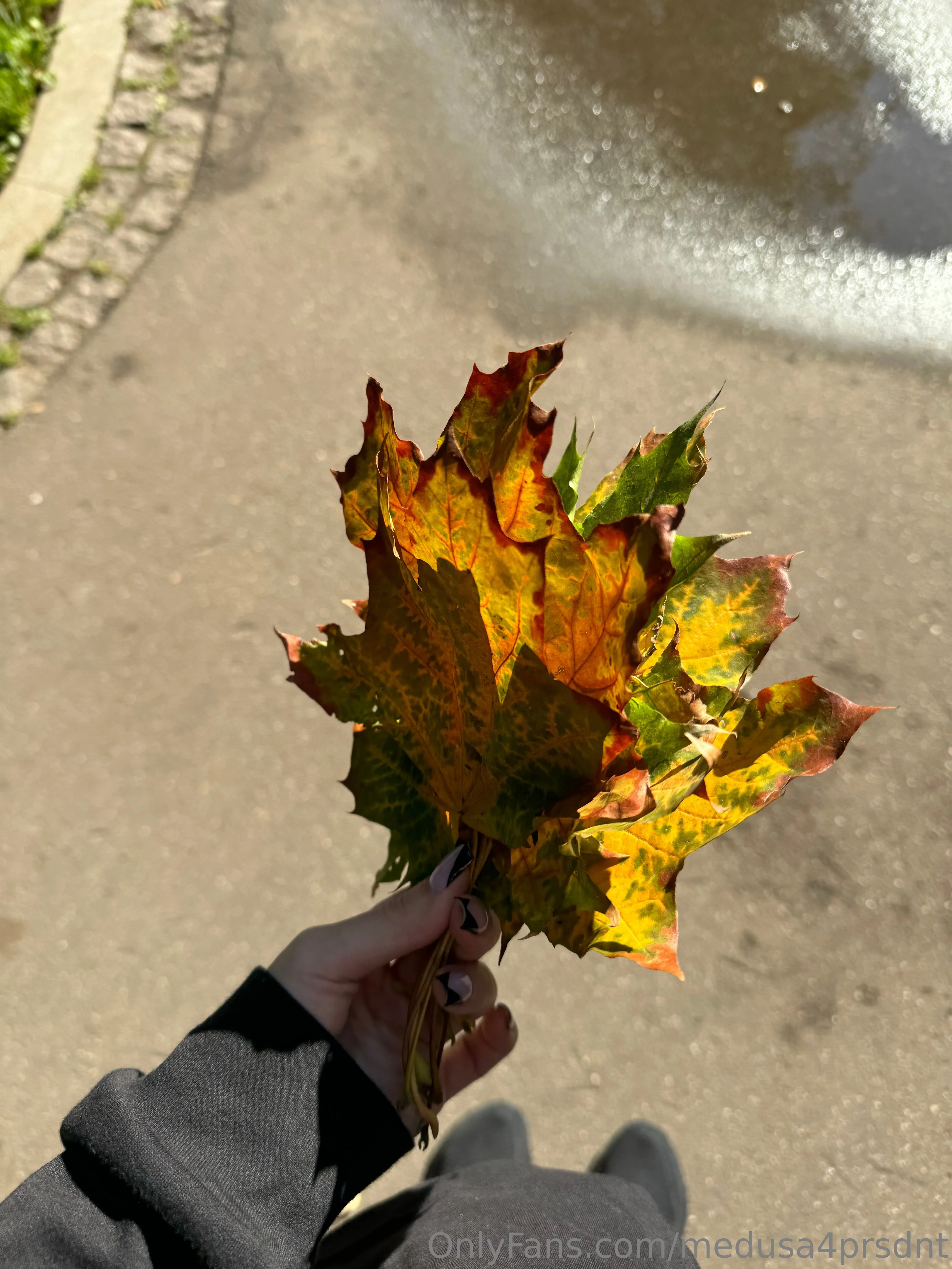 Medusa OnlyFans free account photo 16 - medusa4prsdnt nudes and sex tapes