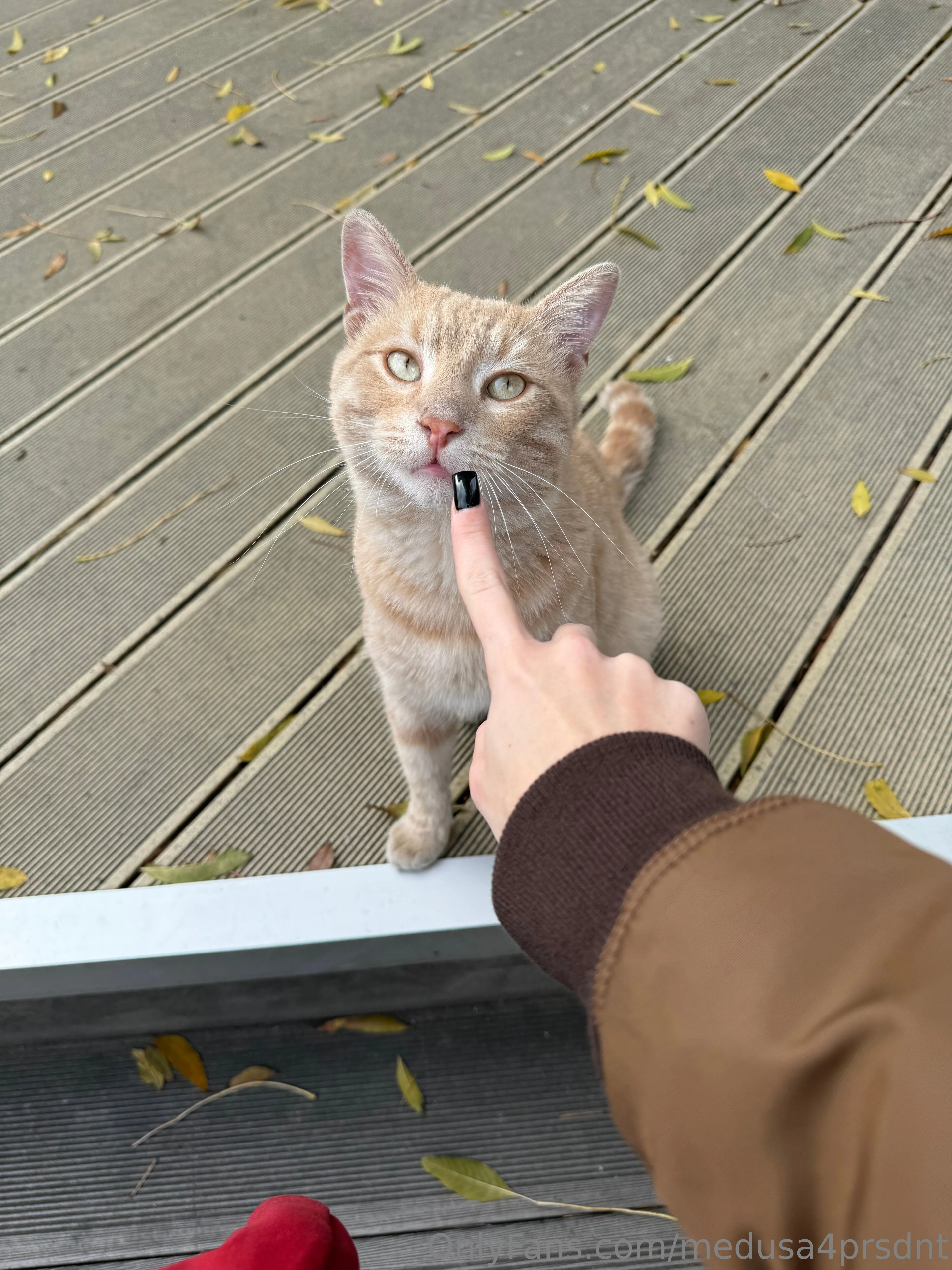 Medusa OnlyFans free account photo 3 - medusa4prsdnt nudes and sex tapes