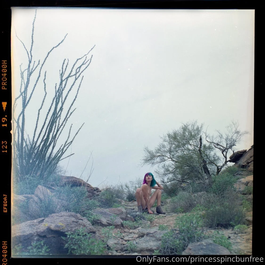 Frankie Bunnie 🐇 OnlyFans free account photo 39 - princesspincbunfree nudes and sex tapes