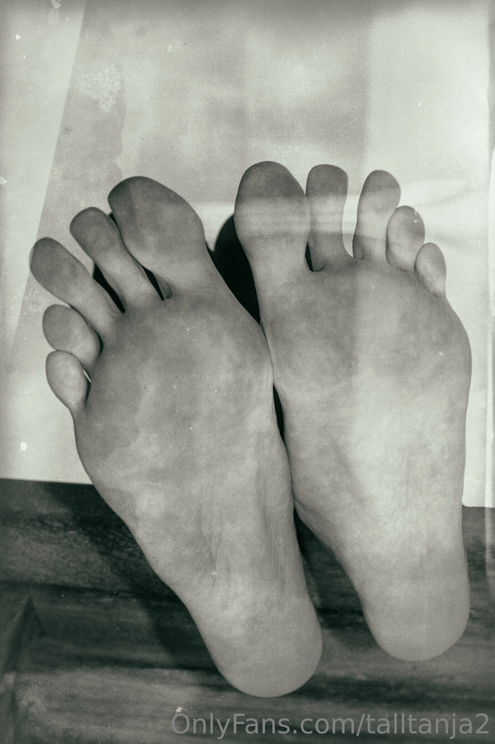 Tall Tanja OnlyFans free account photo 3 - talltanja2 nudes and sex tapes