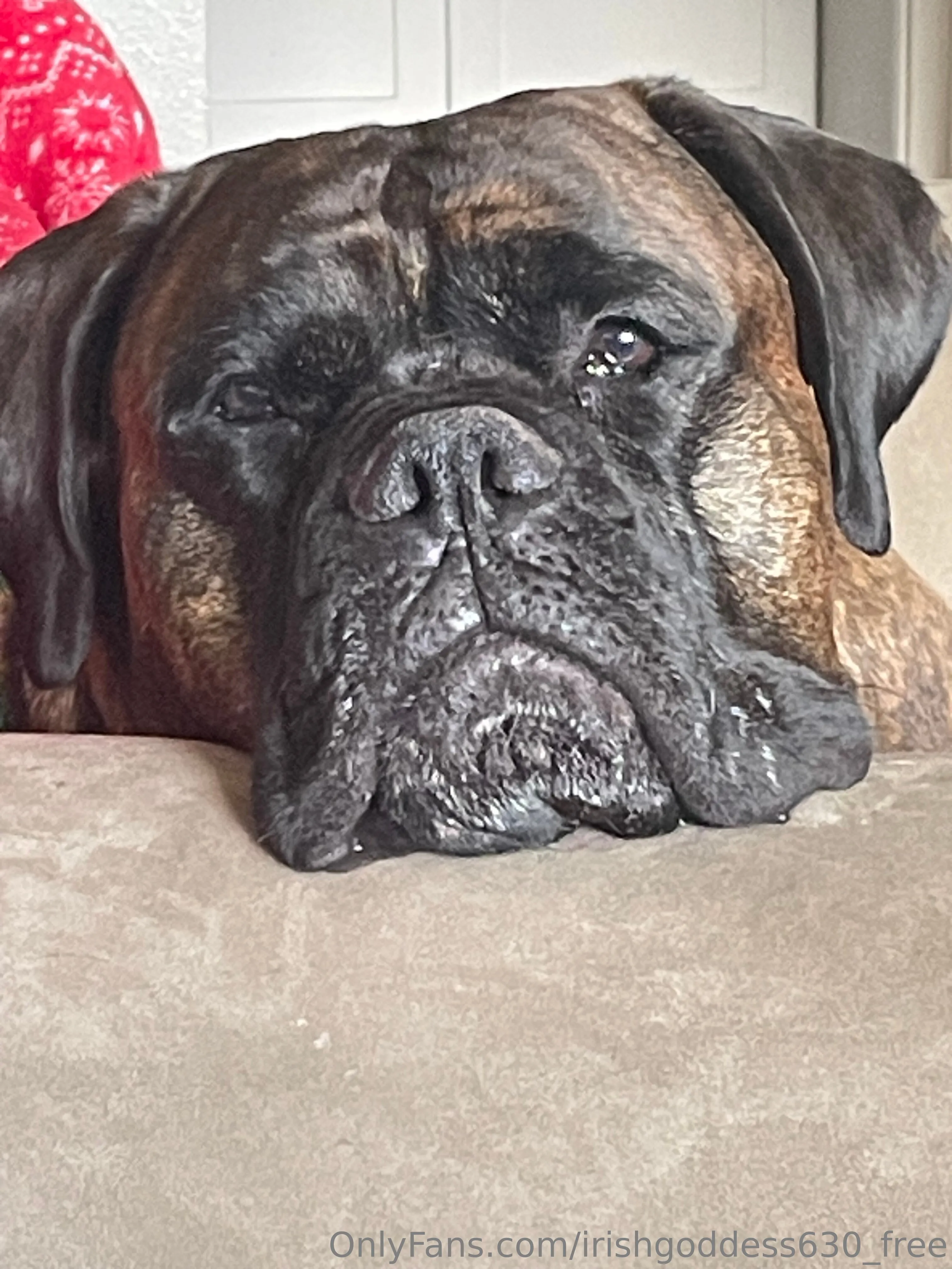 Kira LeFoxx OnlyFans free account photo 22 - irishgoddess630_free nudes and sex tapes