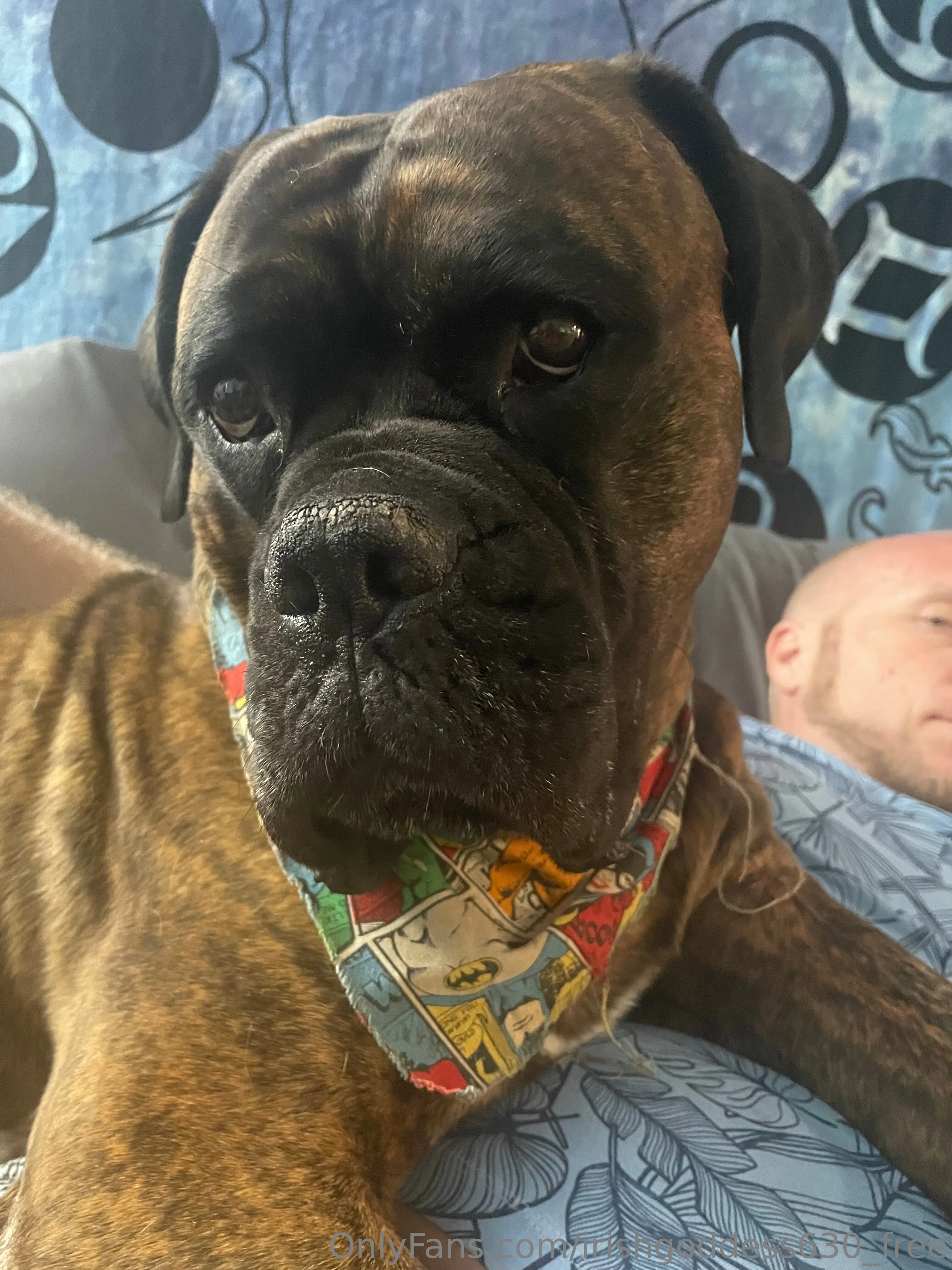 Kira LeFoxx OnlyFans free account photo 21 - irishgoddess630_free nudes and sex tapes