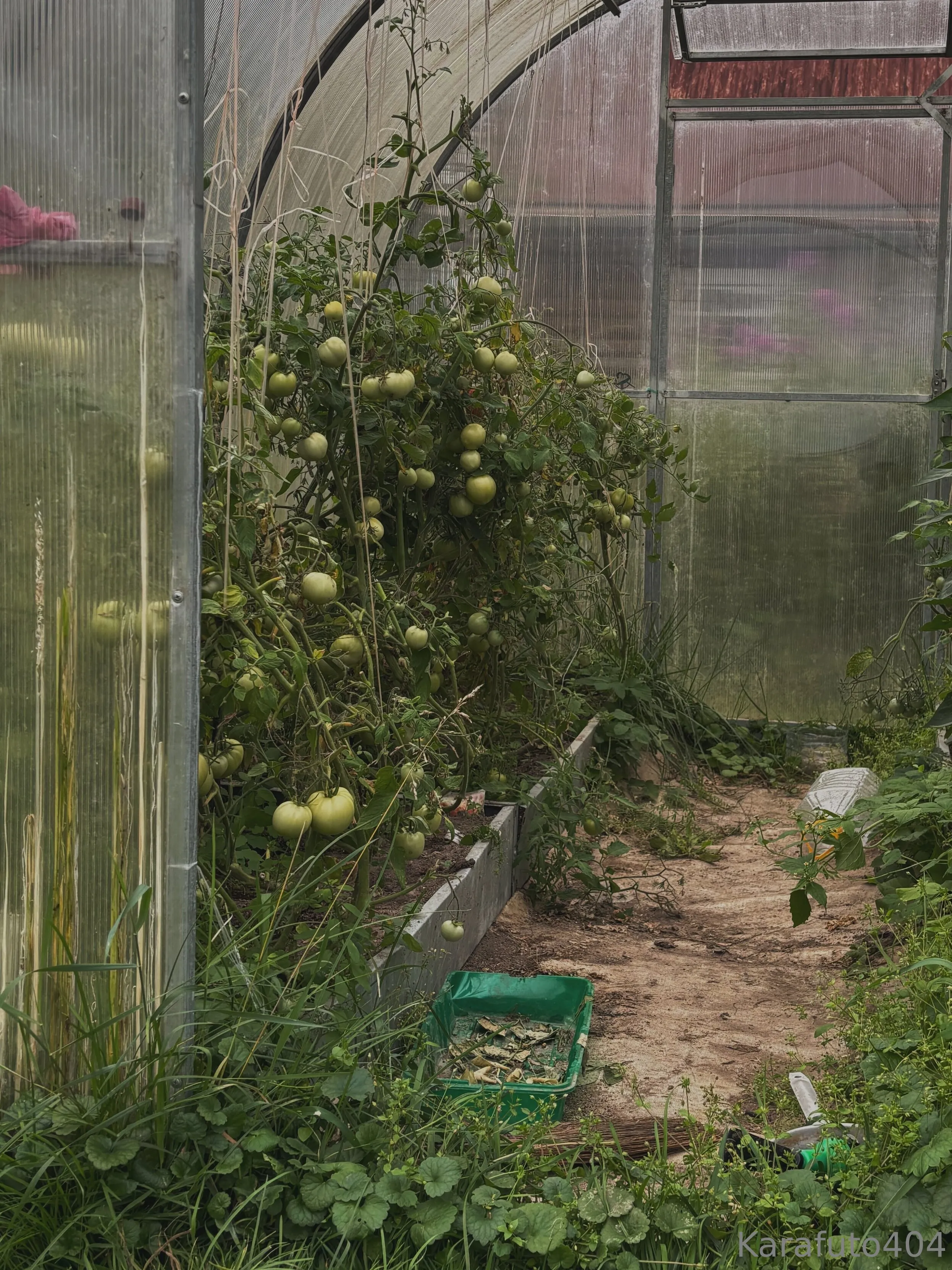 Your Cat OnlyFans free account photo 22 - karafuto404 nudes and sex tapes