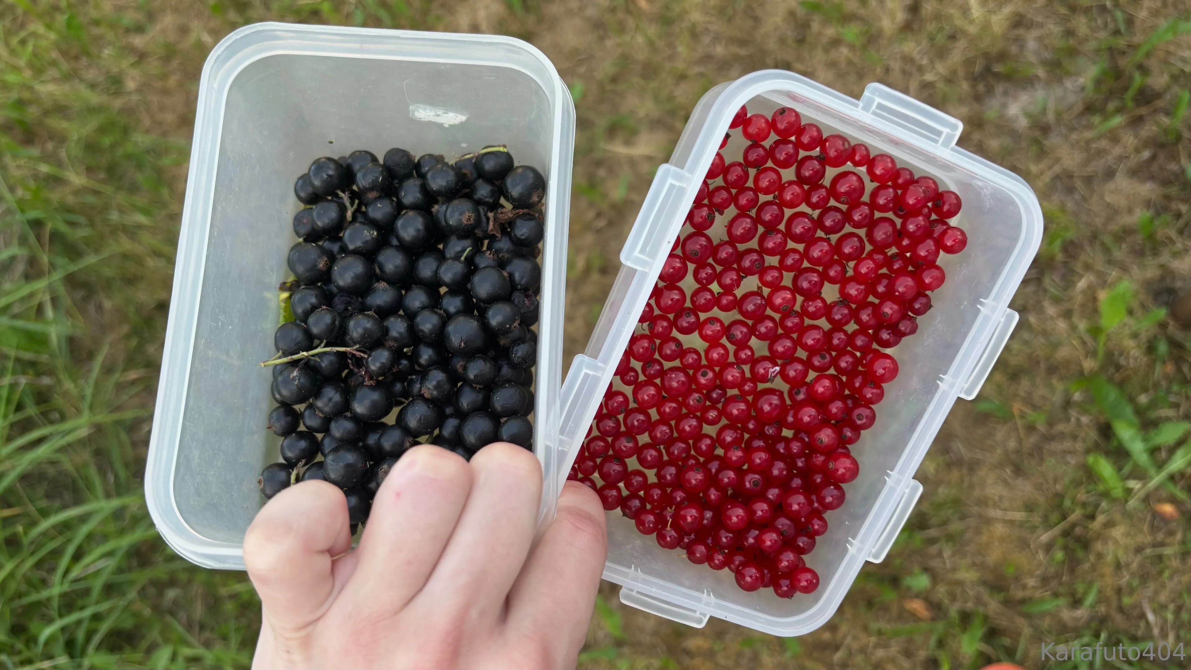 Your Cat OnlyFans free account photo 20 - karafuto404 nudes and sex tapes