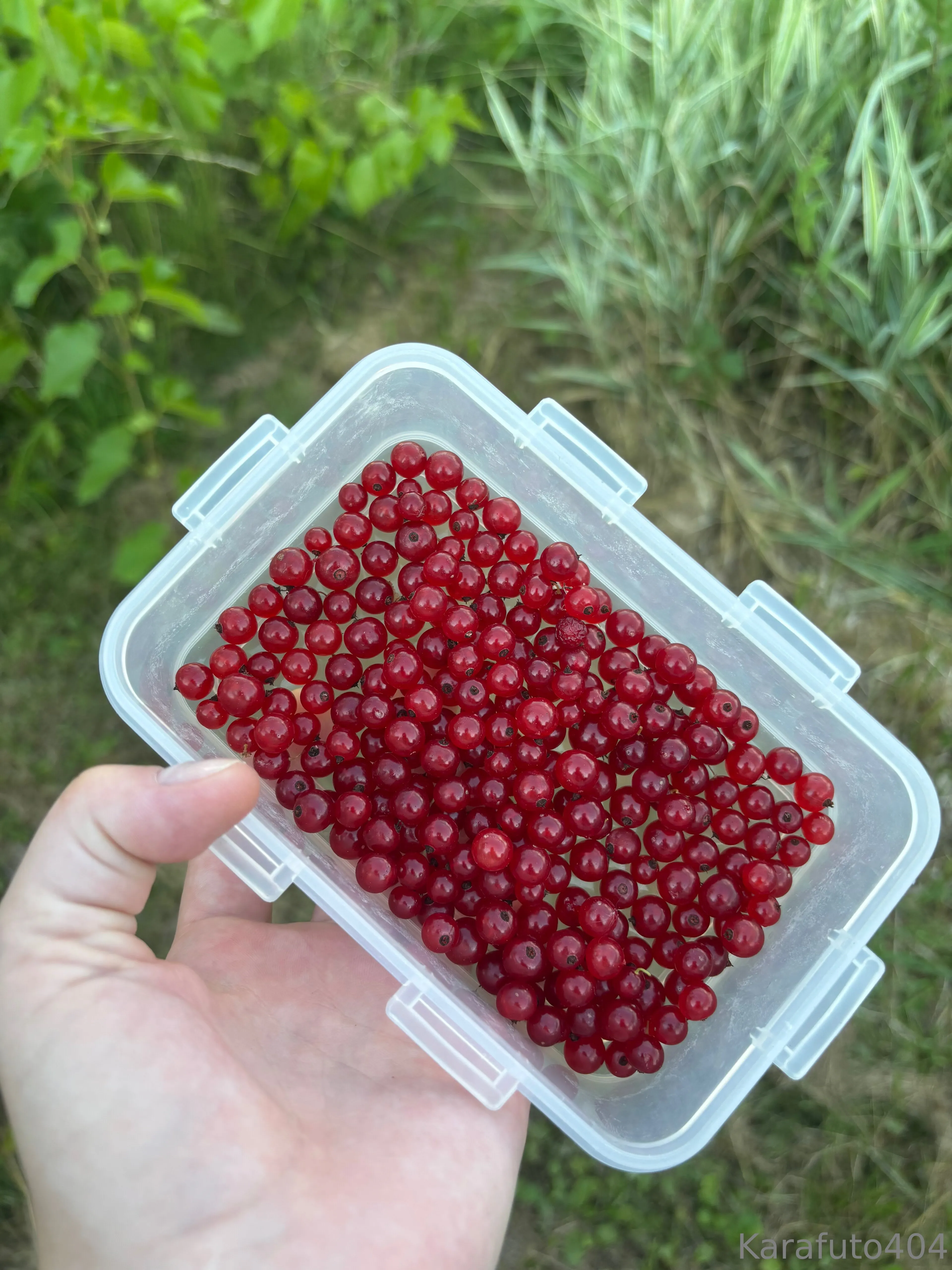 Your Cat OnlyFans free account photo 19 - karafuto404 nudes and sex tapes