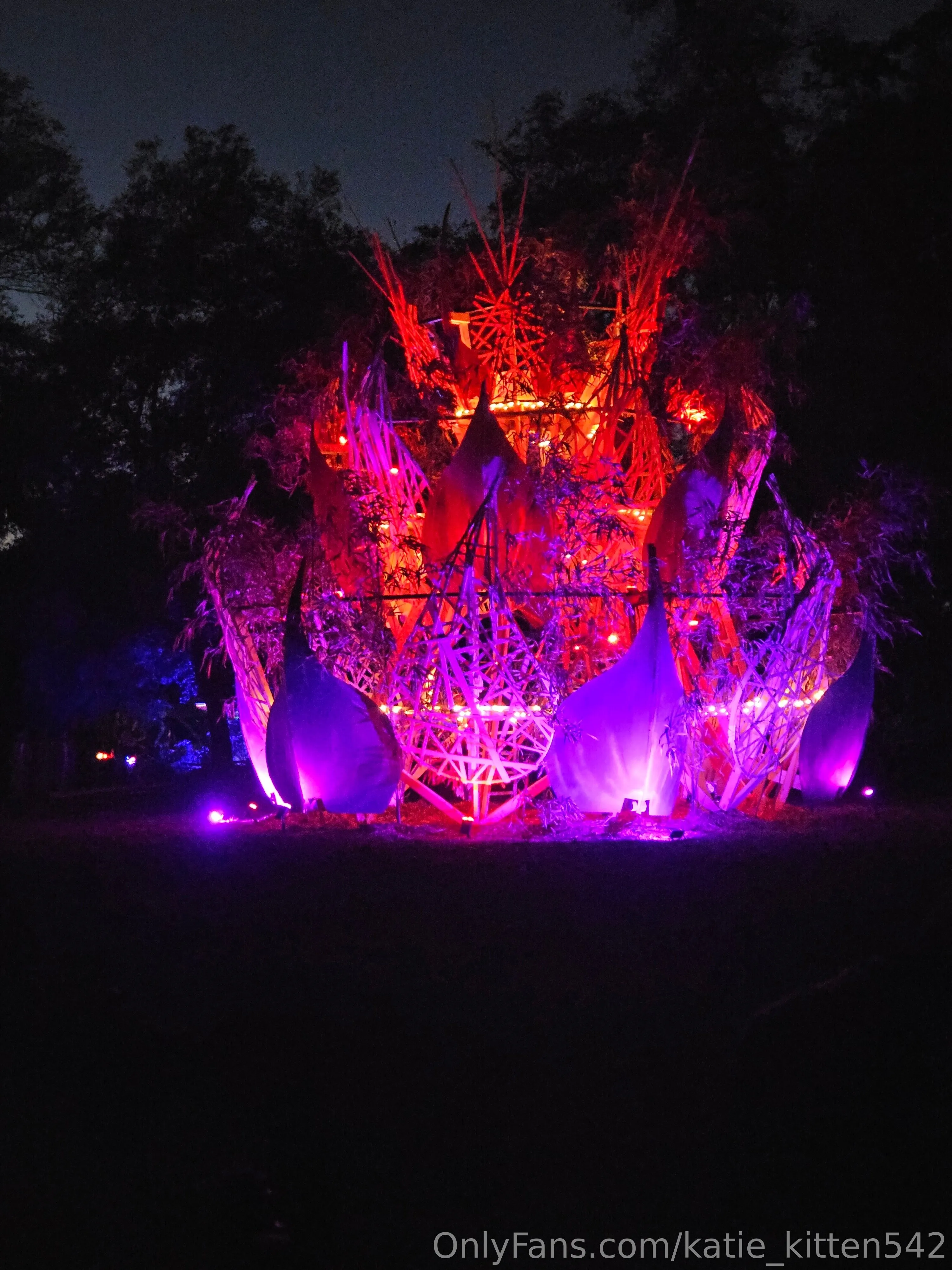 Katie kitten OnlyFans free account photo 7 - katie_kitten542 nudes and sex tapes