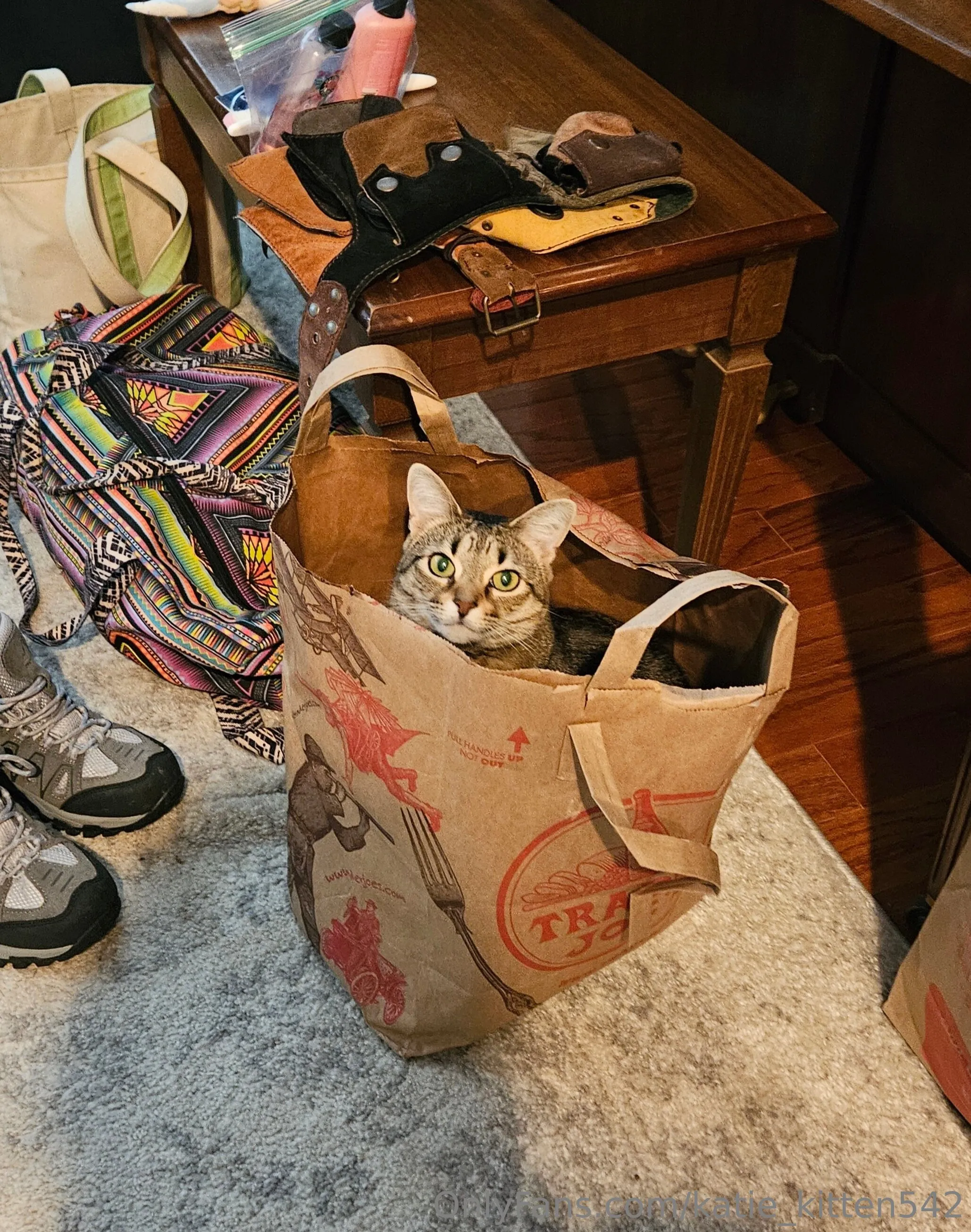 Katie kitten OnlyFans free account photo 5 - katie_kitten542 nudes and sex tapes