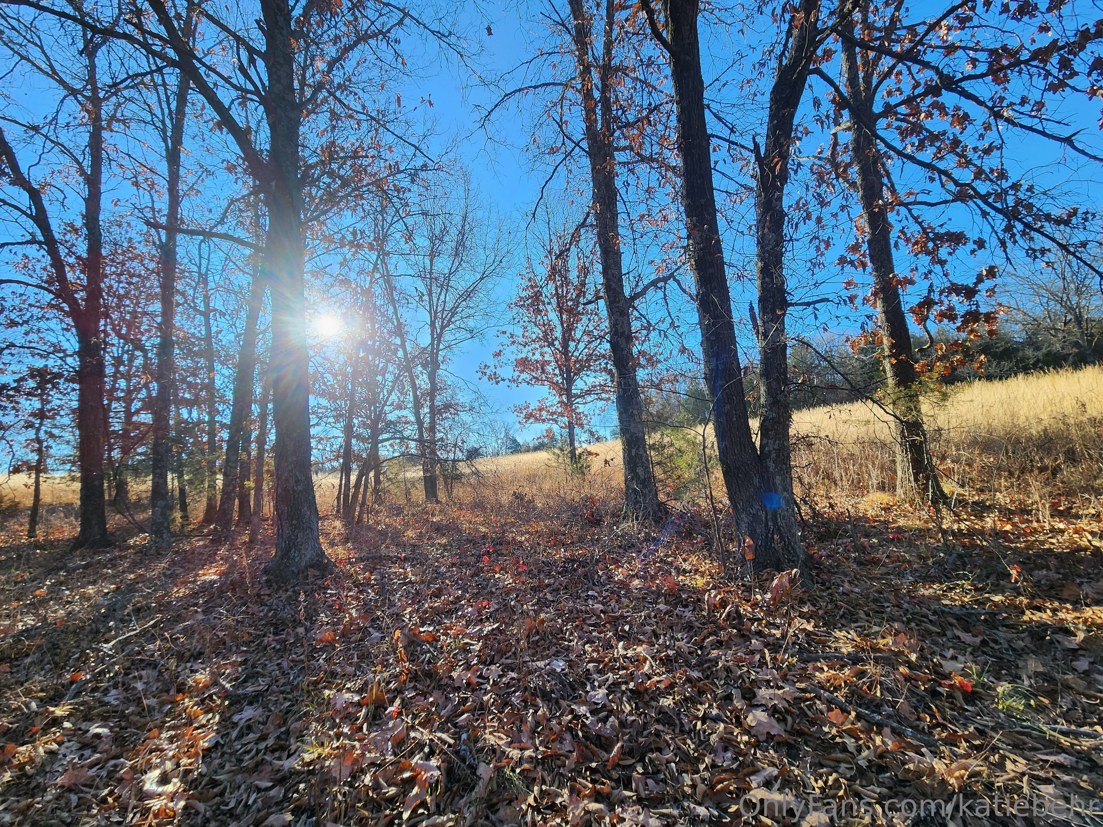 Katie B OnlyFans free account photo 3 - katiebehr nudes and sex tapes