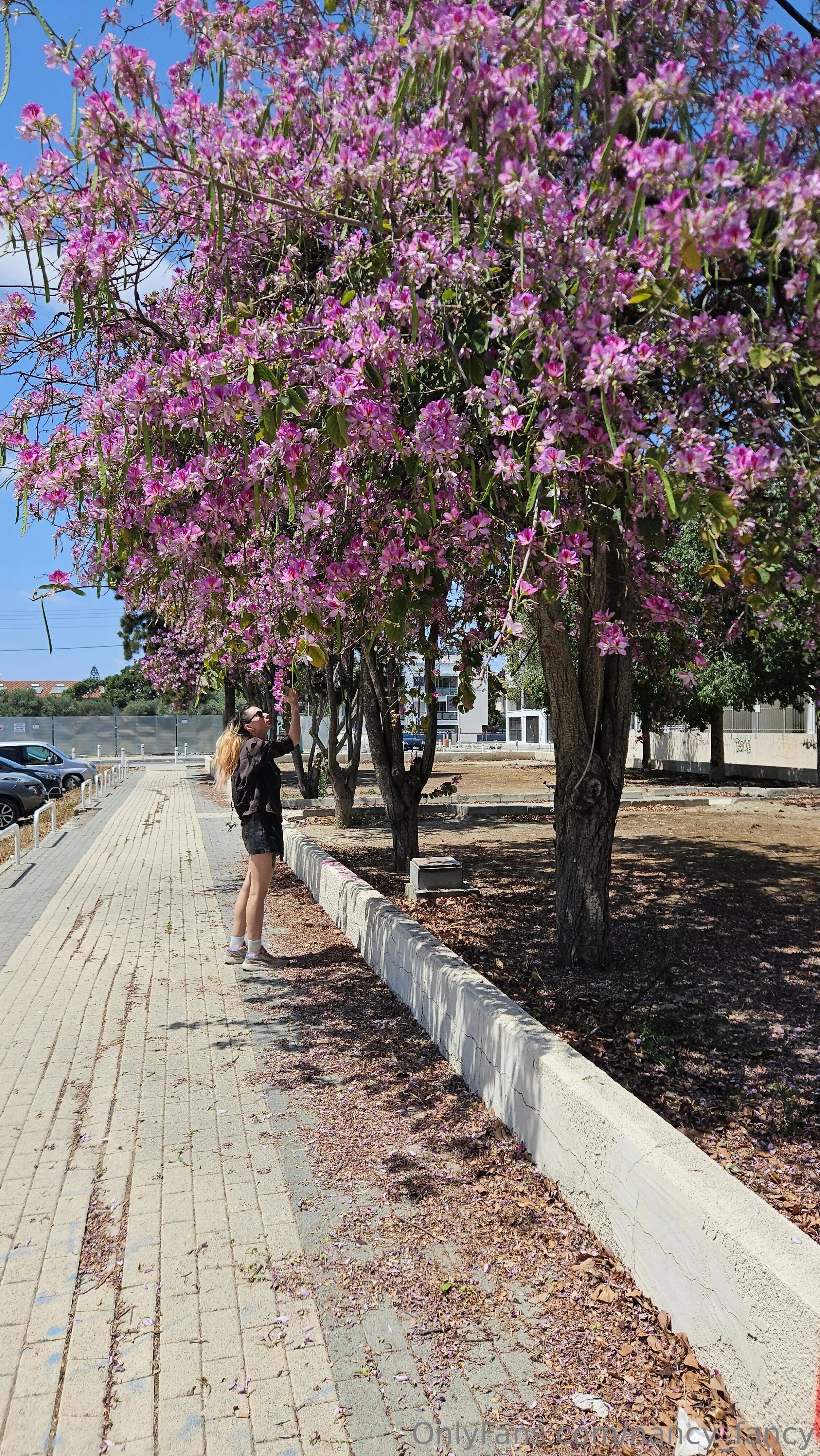 Your dream girl Nanc 💜 OnlyFans free account photo 20 - nancy_fancy nudes and sex tapes