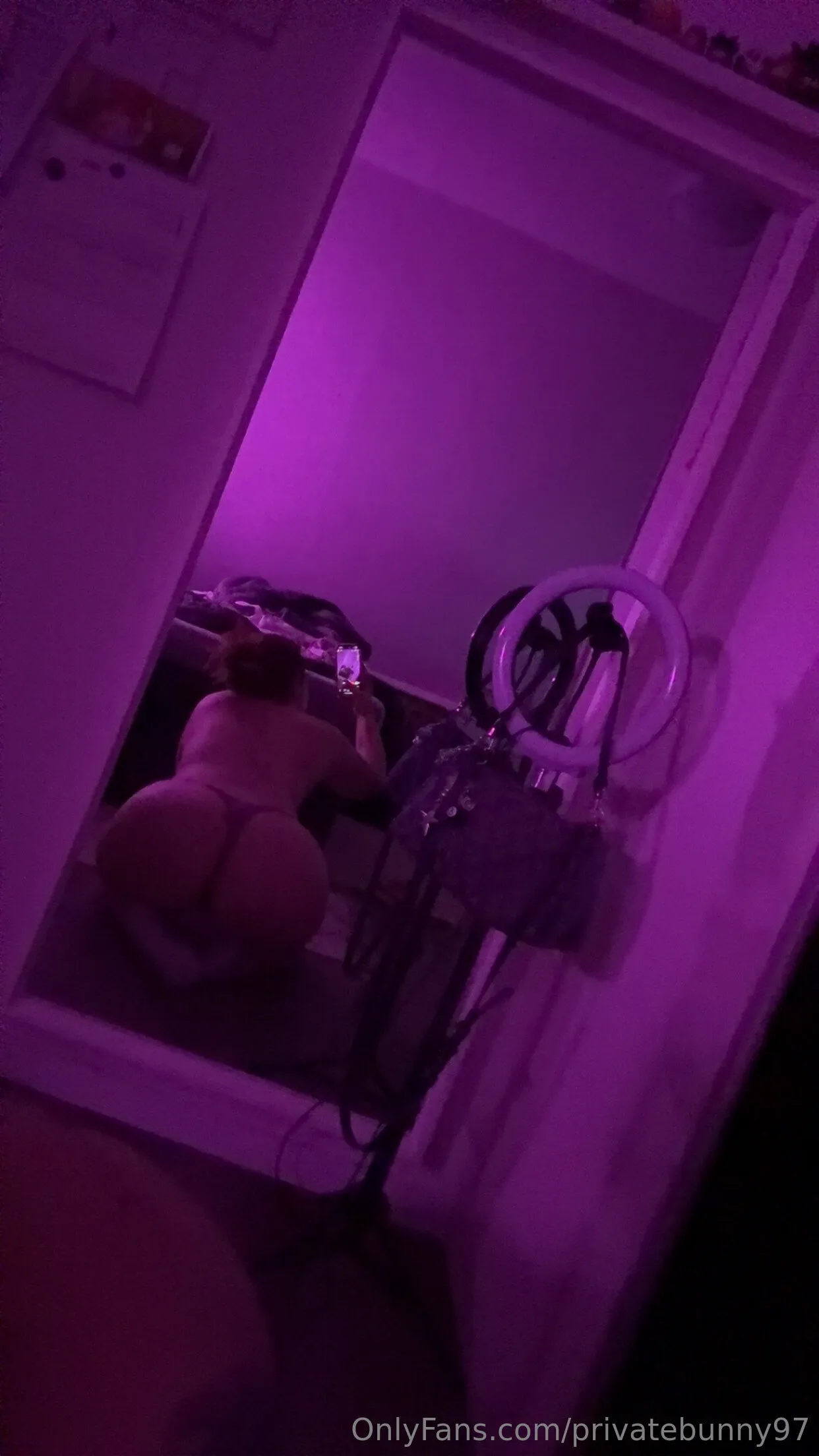 privatebunny🐰 OnlyFans free account photo 2 - privatebunny97 nudes and sex tapes