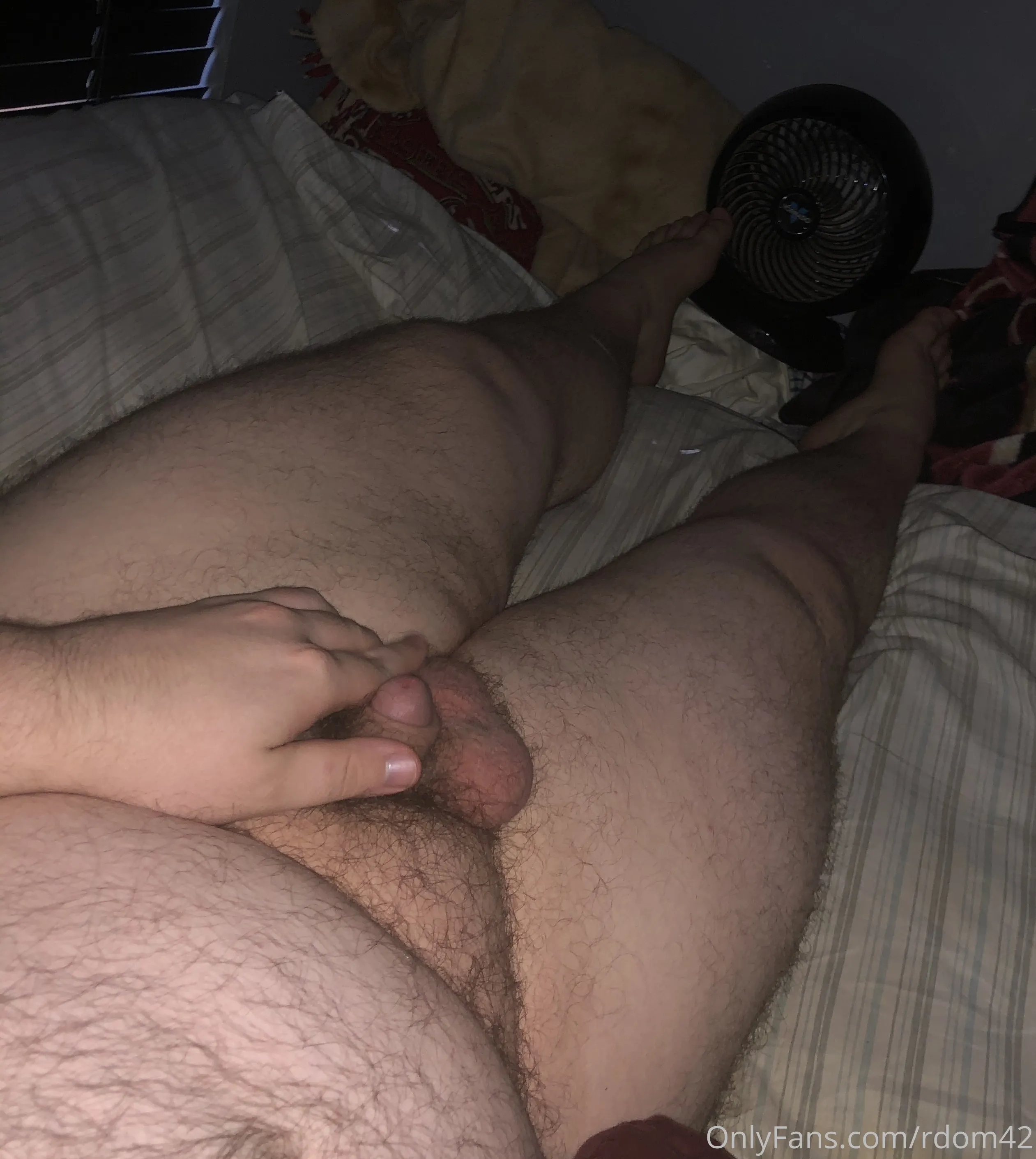 Rdom OnlyFans free account photo 37 - rdom42 nudes and sex tapes