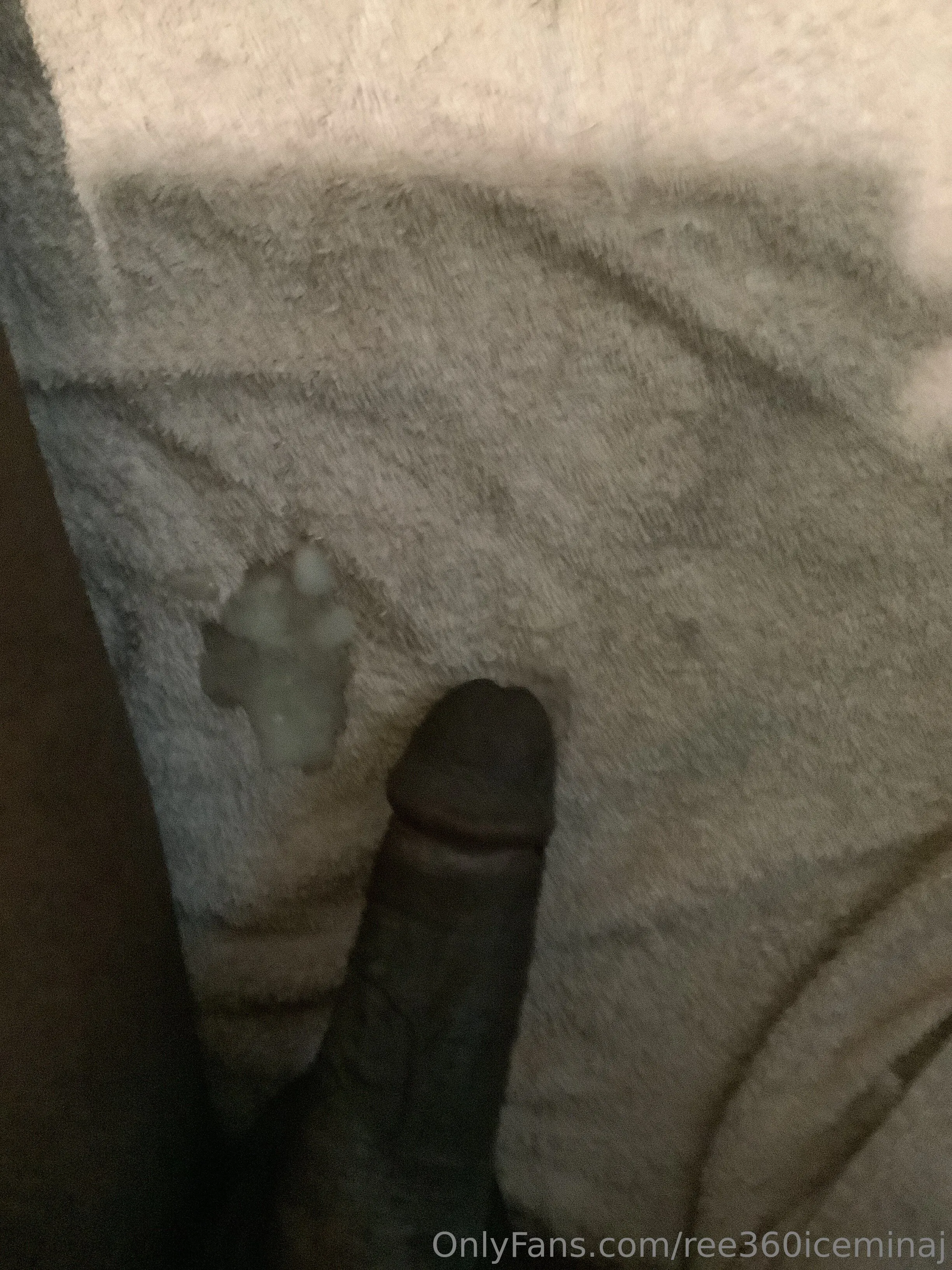 ice king OnlyFans free account photo 8 - ree360iceminaj nudes and sex tapes