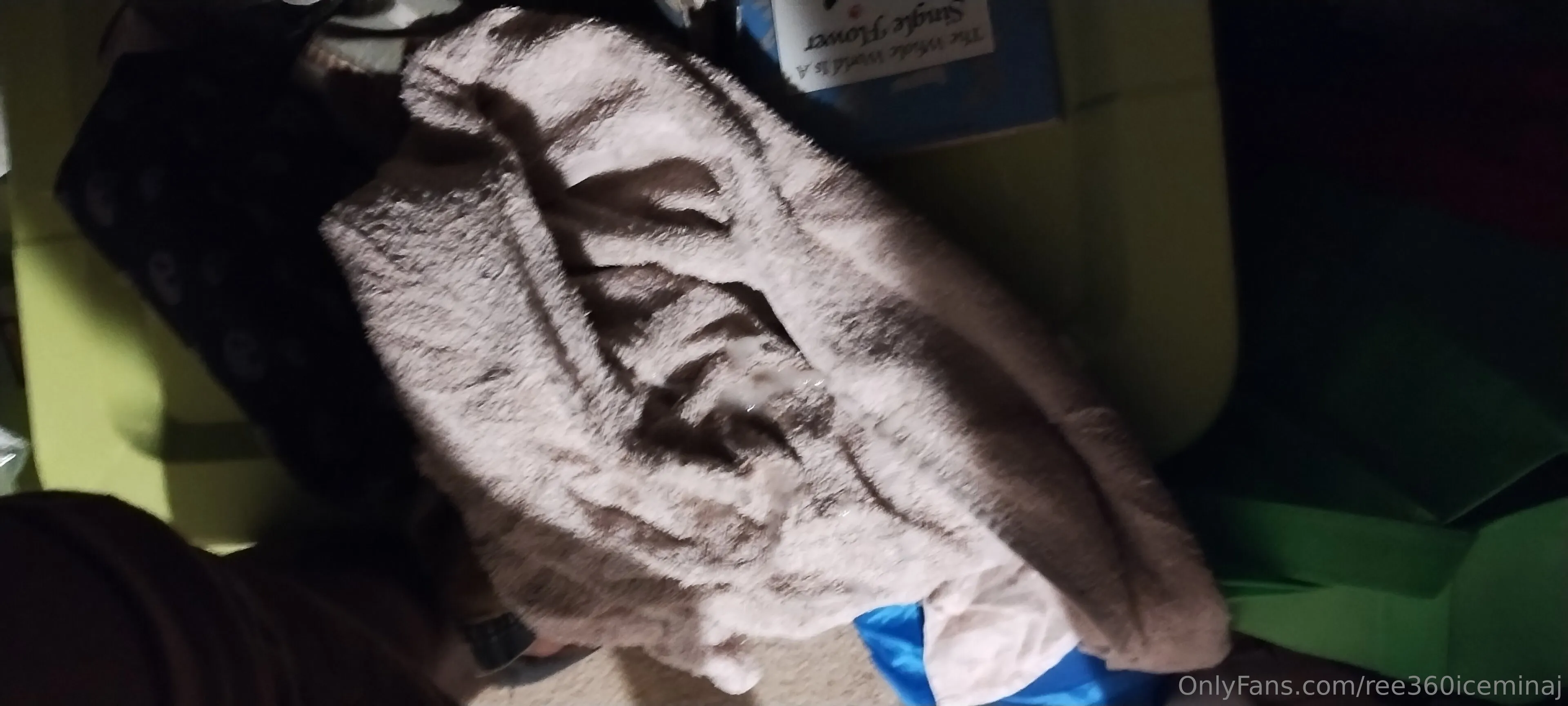 ice king OnlyFans free account photo 4 - ree360iceminaj nudes and sex tapes