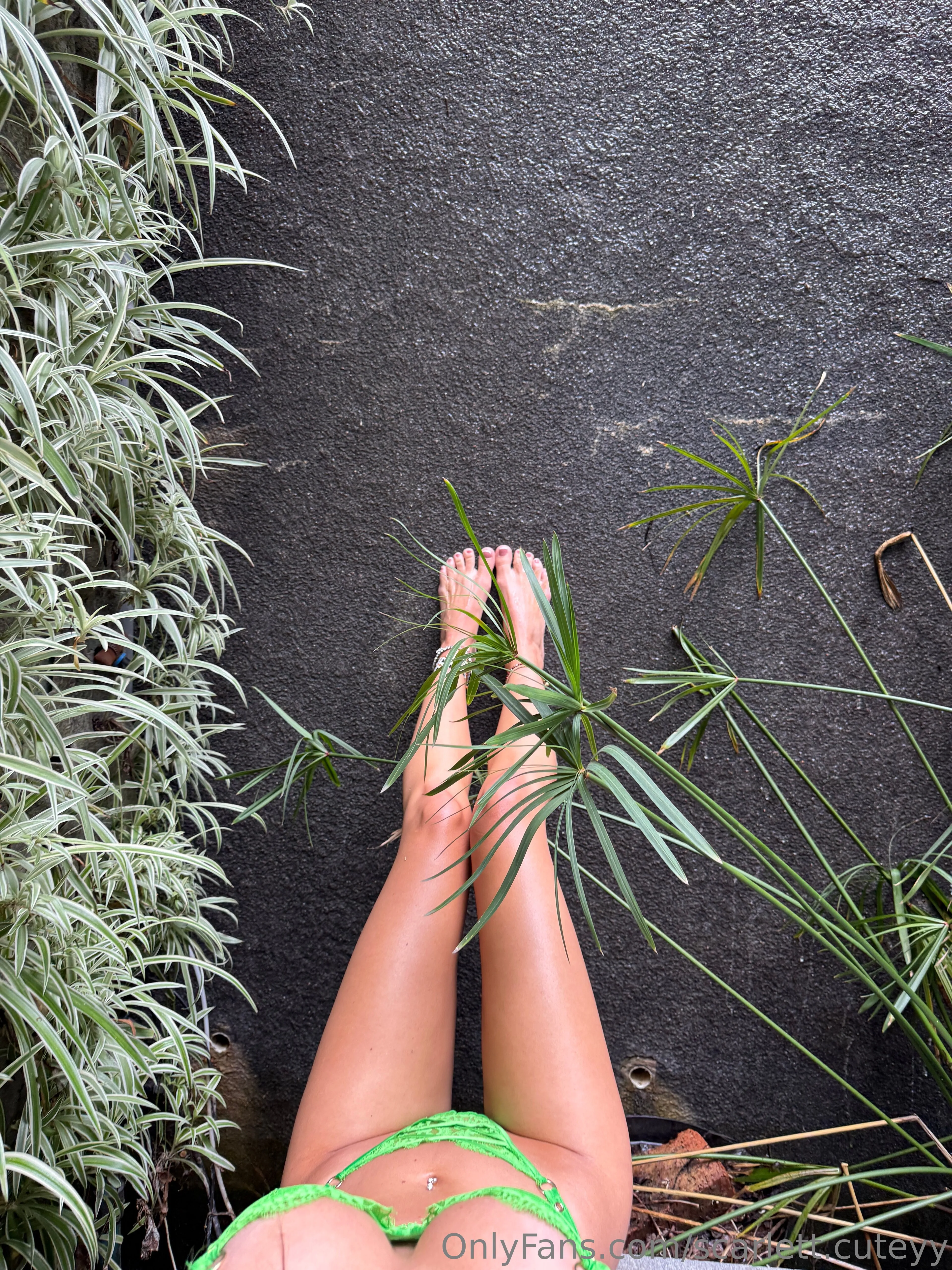 Scarlett 🐾 OnlyFans free account photo 9 - scarlett.cuteyy nudes and sex tapes