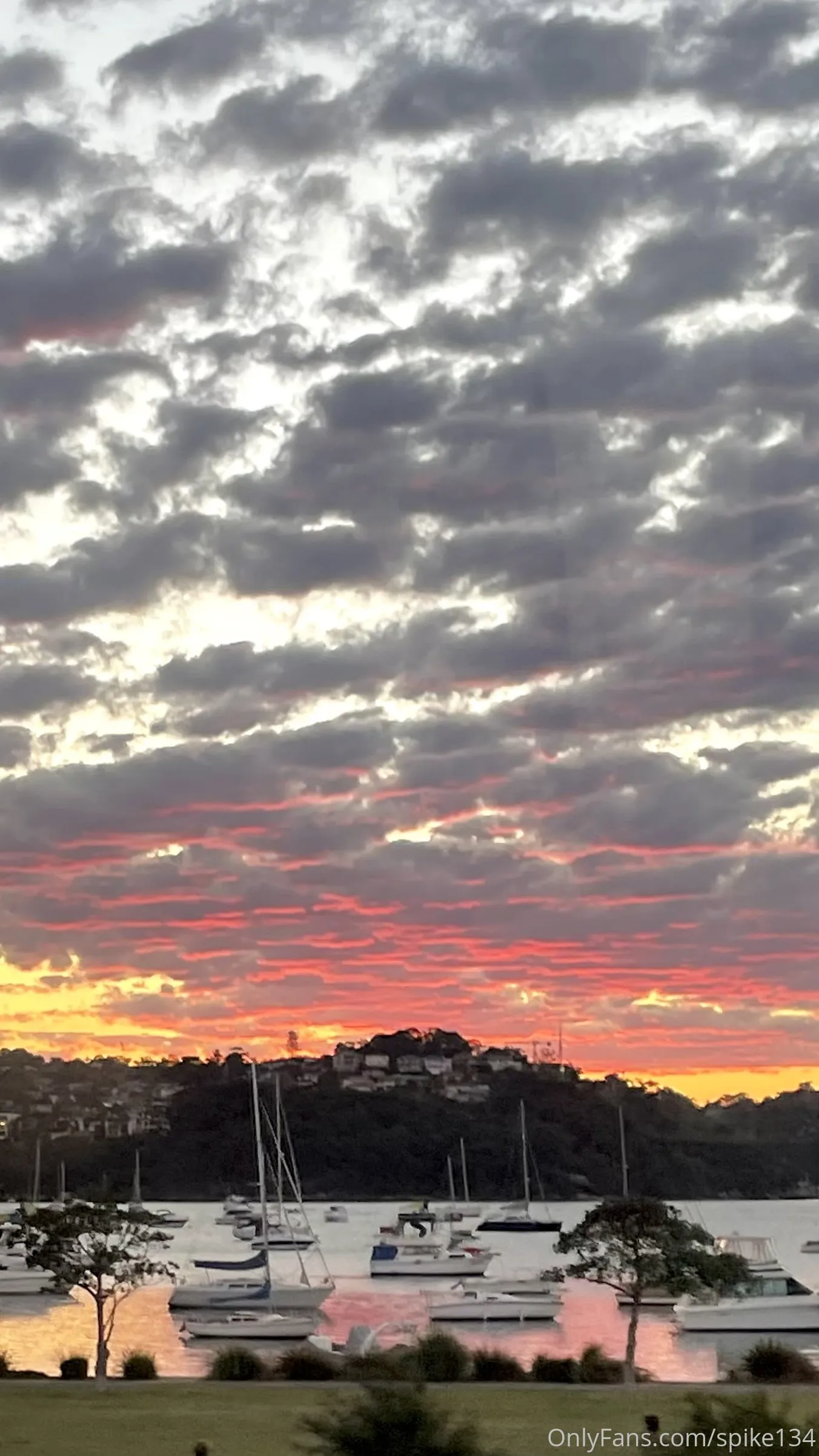 Steven OnlyFans free account photo 31 - spike134 nudes and sex tapes