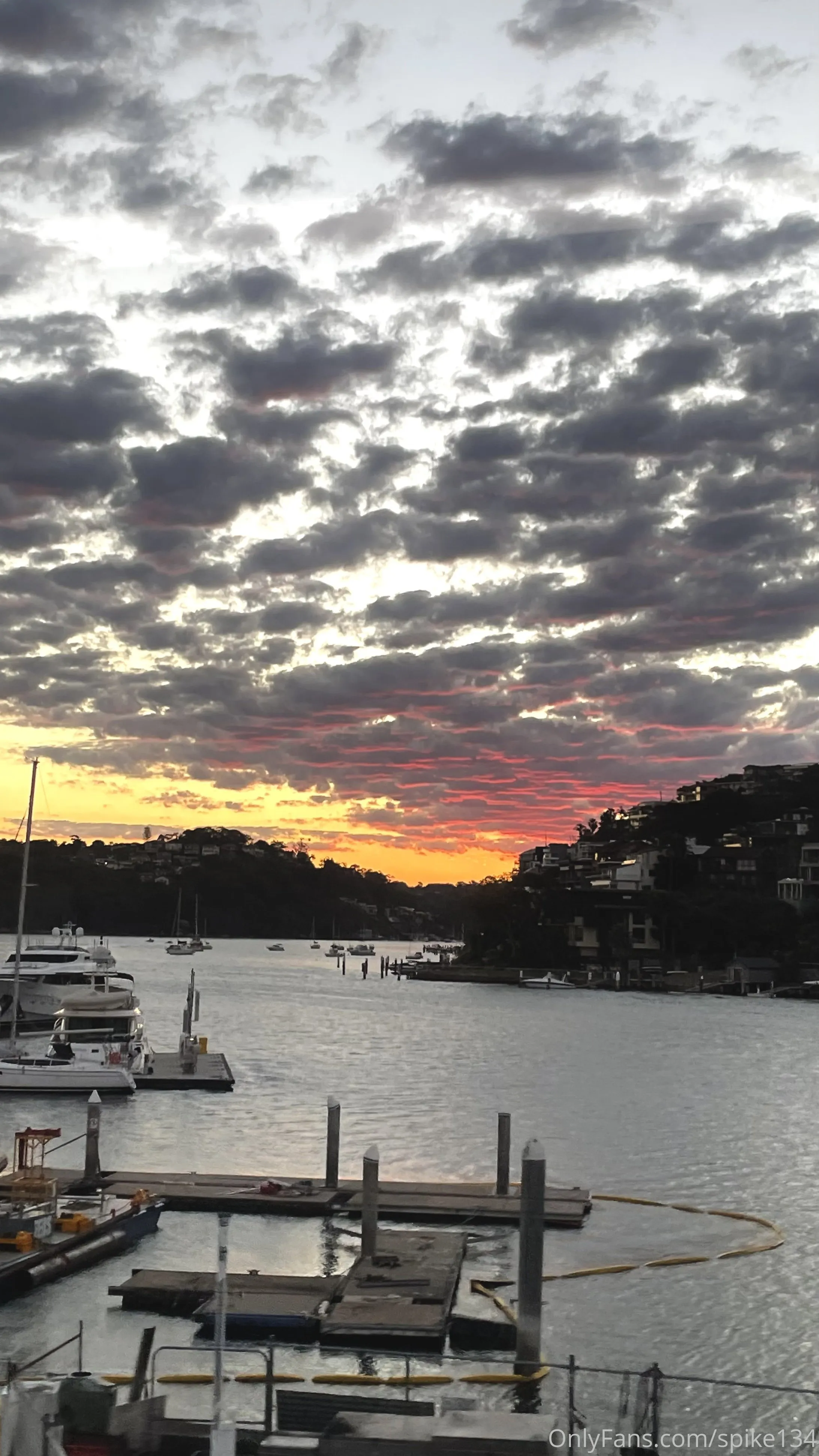 Steven OnlyFans free account photo 29 - spike134 nudes and sex tapes