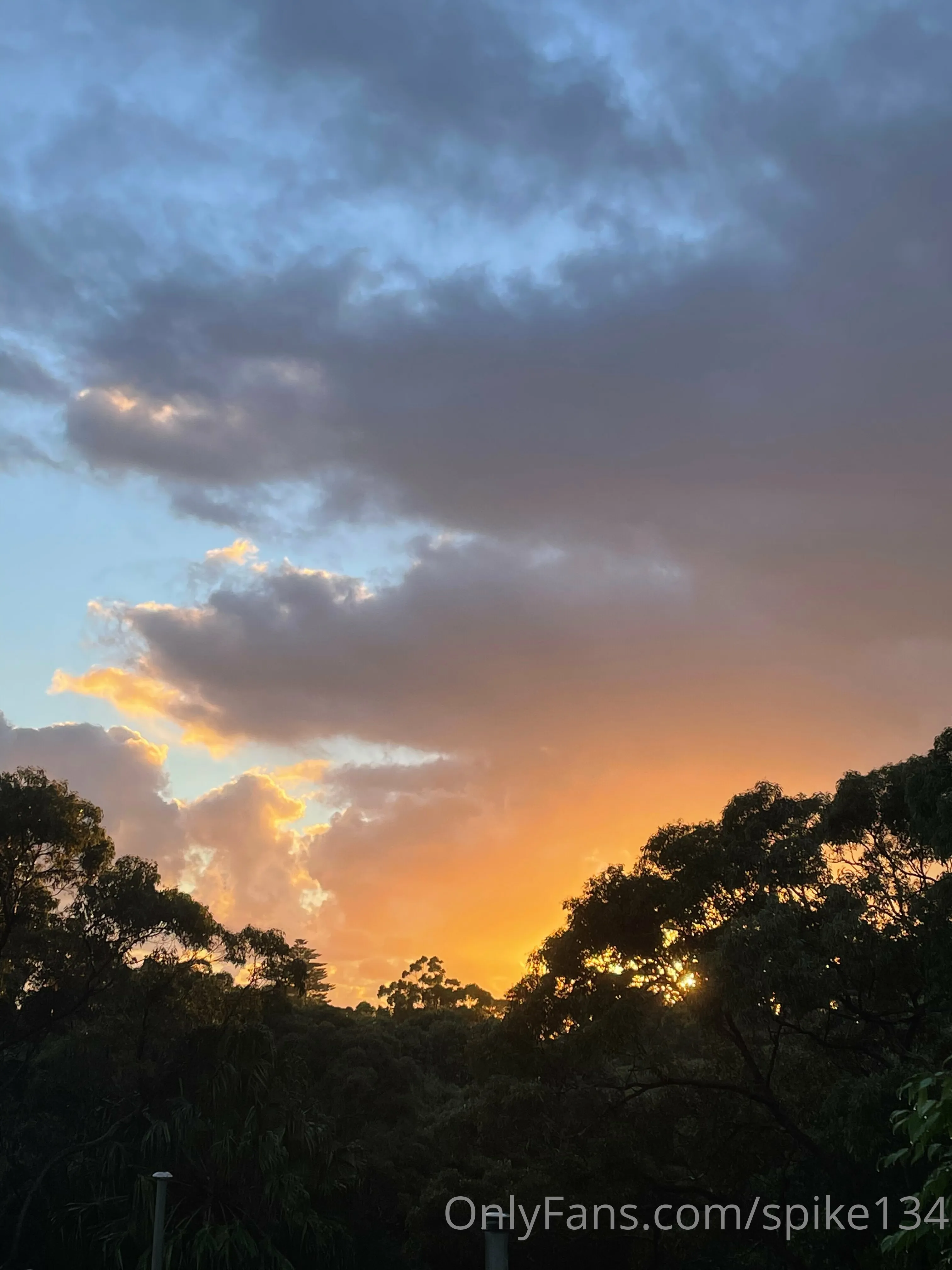 Steven OnlyFans free account photo 23 - spike134 nudes and sex tapes