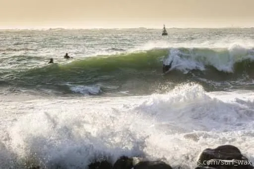 The sun drenched surfer OnlyFans free account photo 11 - surf_wax nudes and sex tapes