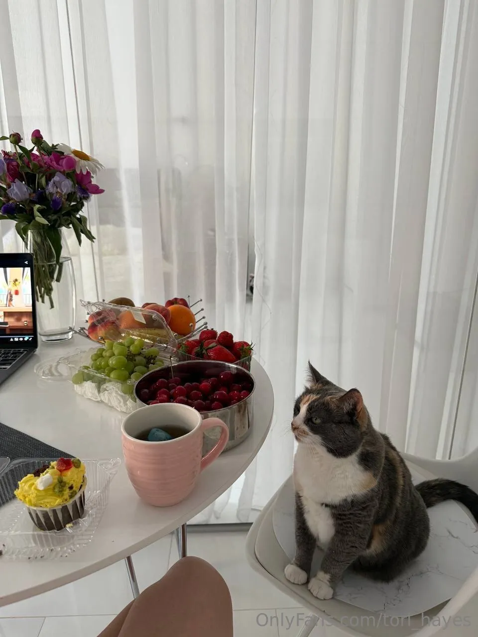 🍑 Tori Hayes 🍑 OnlyFans free account photo 5 - tori_hayes nudes and sex tapes